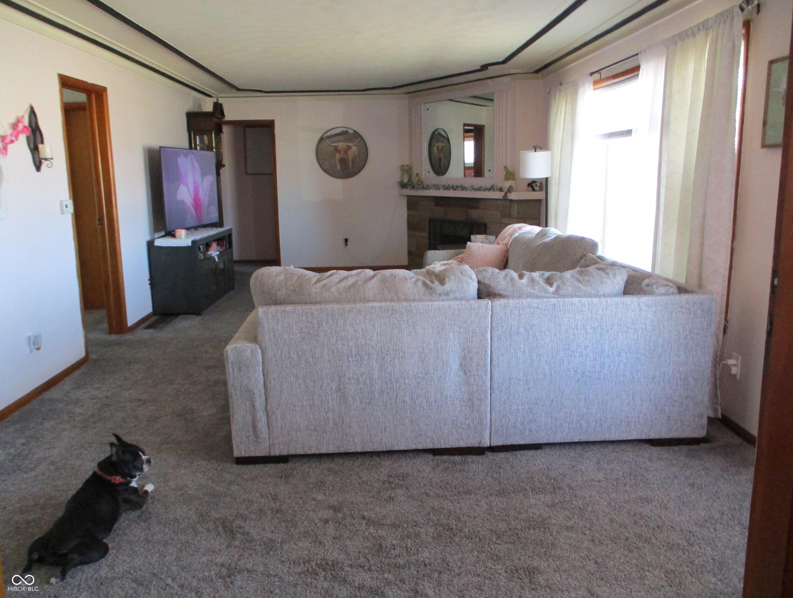 Photo #8