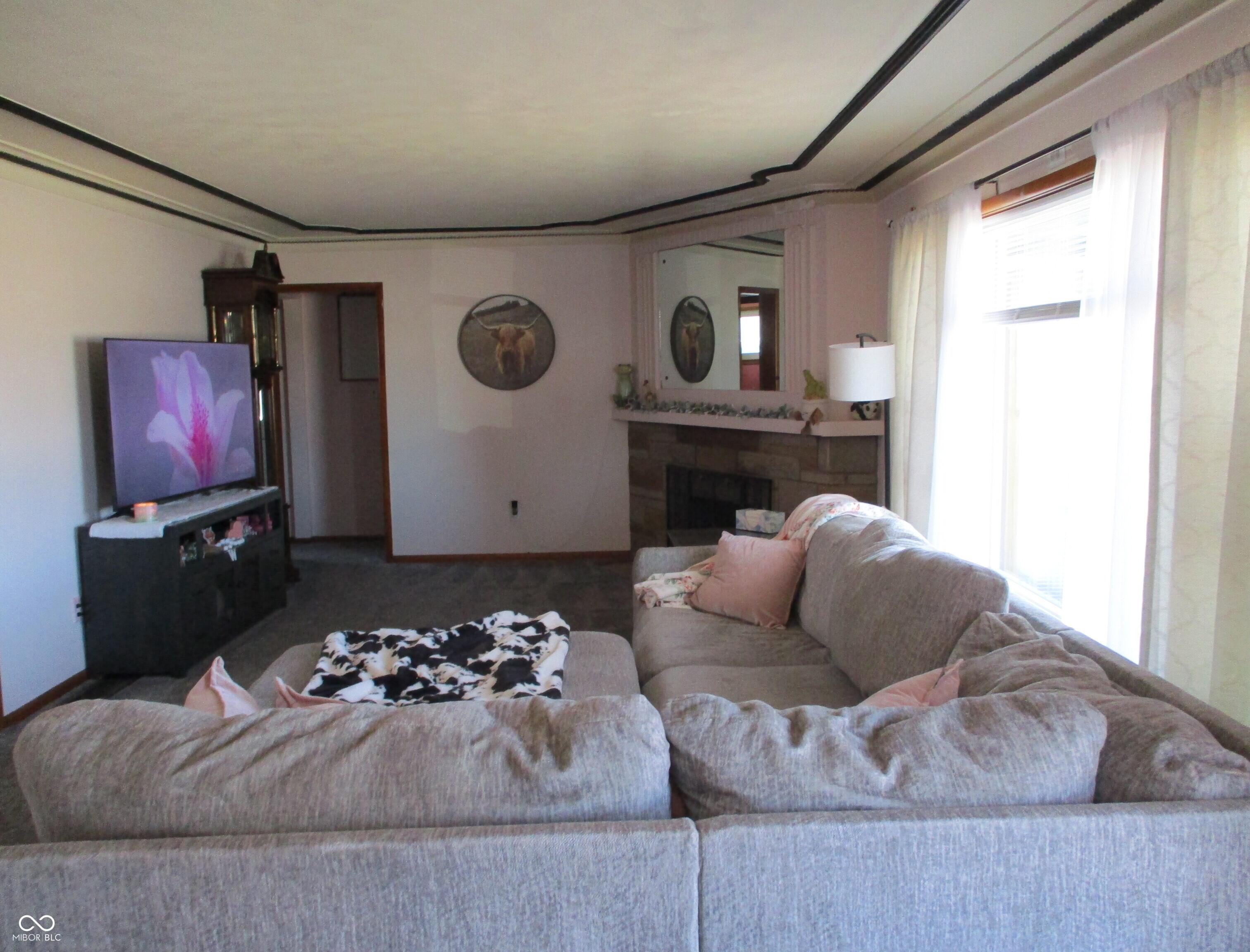 Photo #10