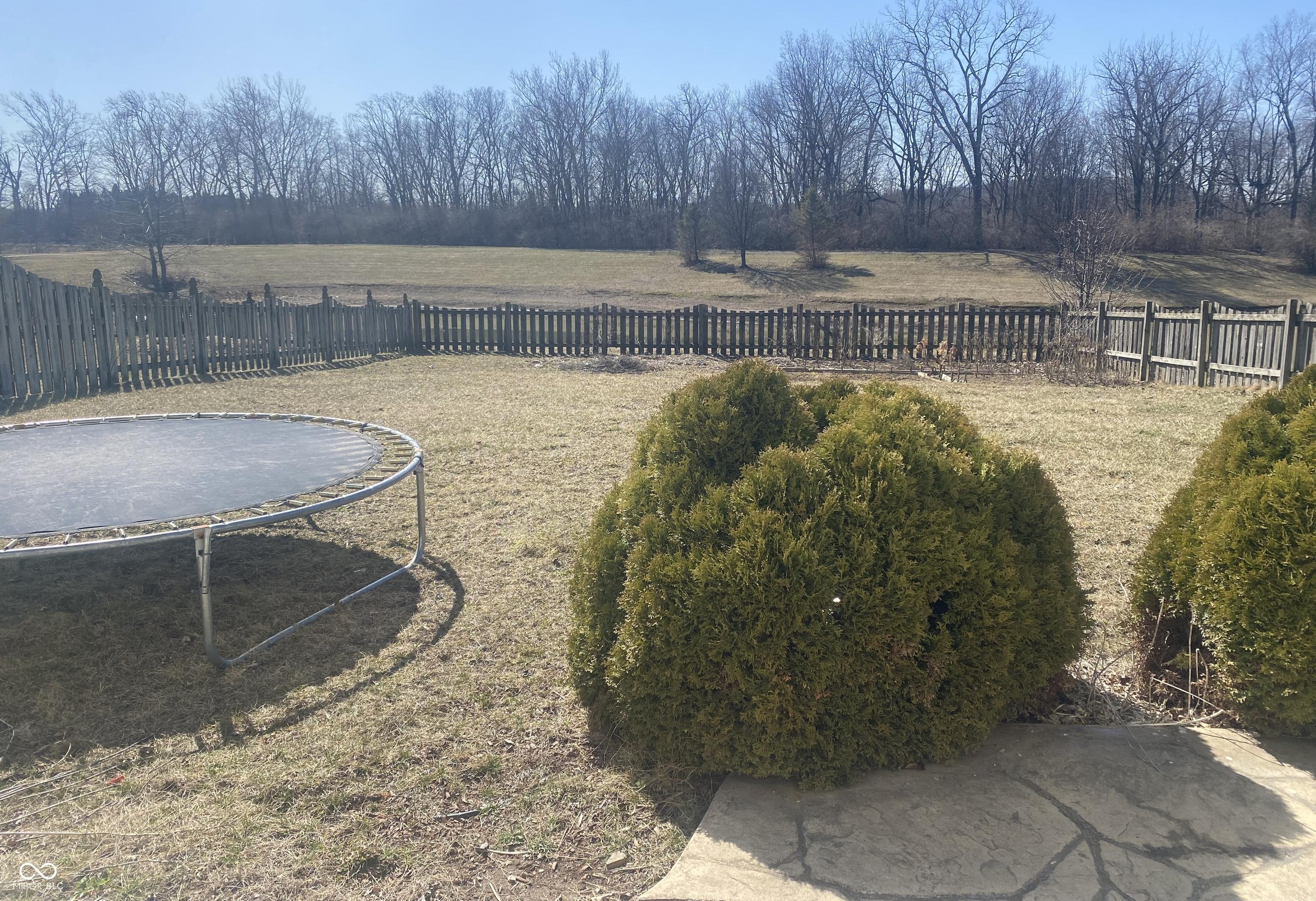 Photo #24