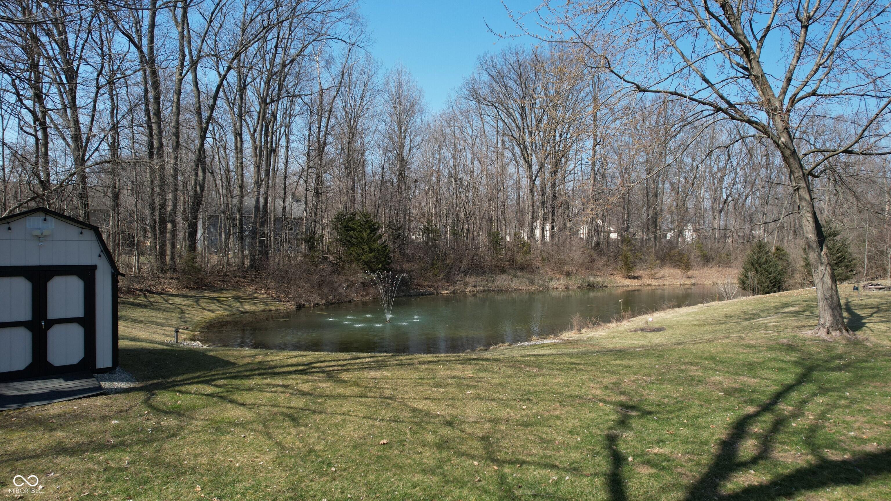Photo #3