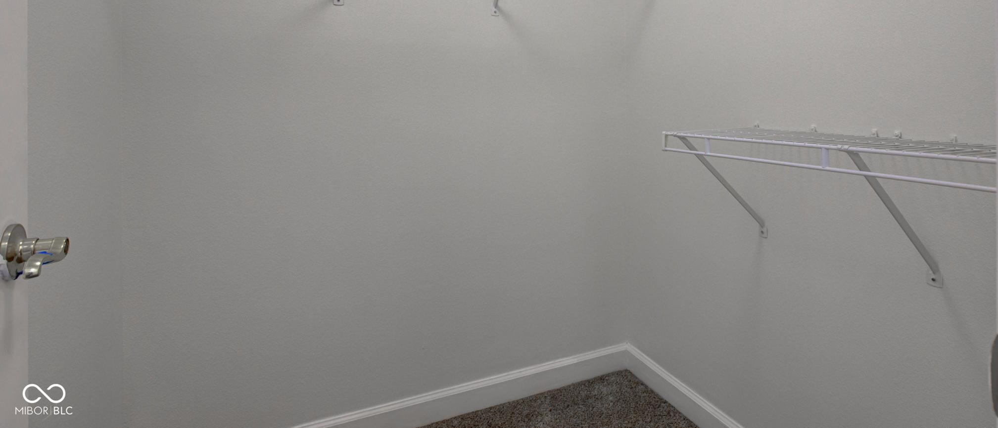 Photo #41