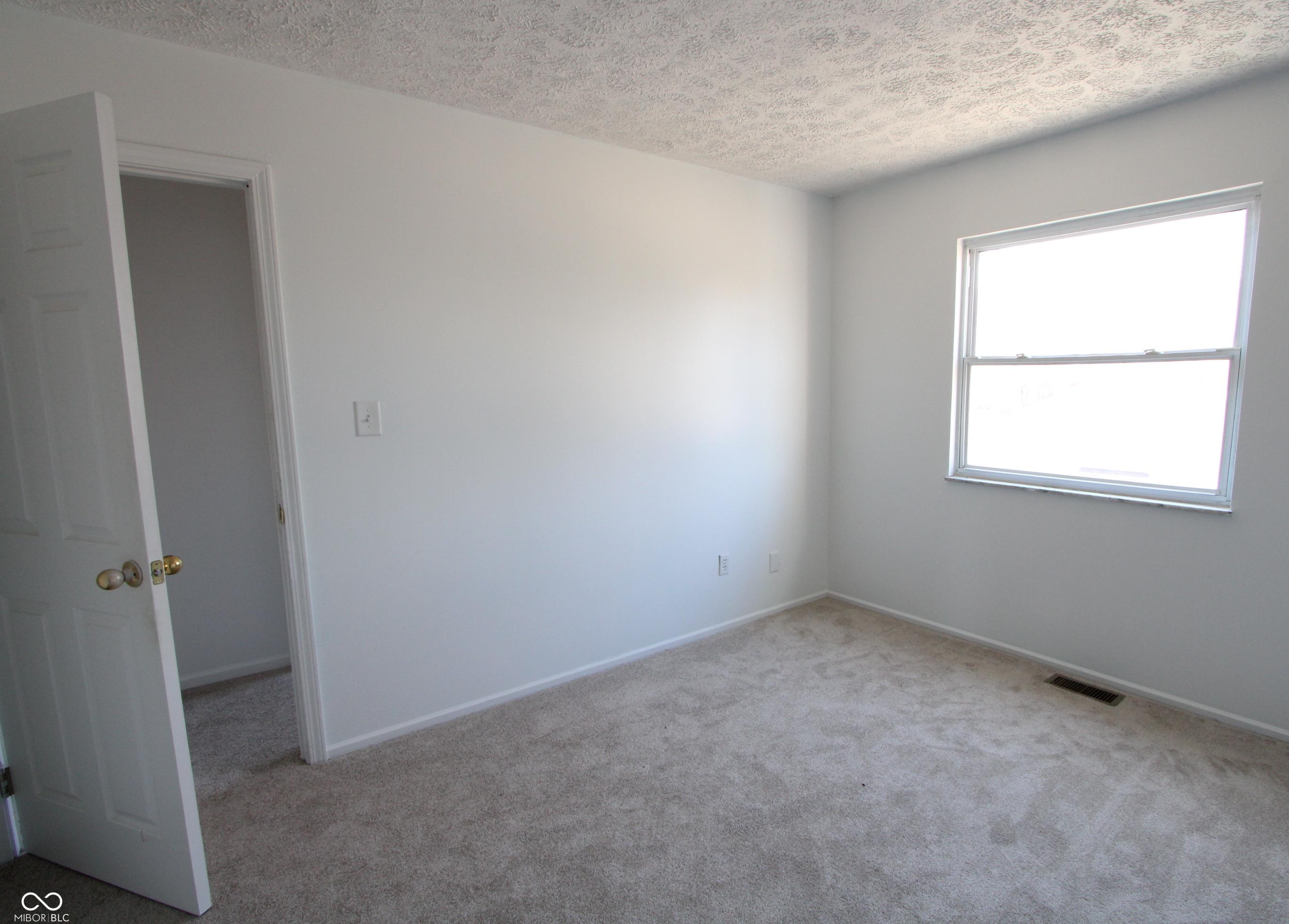 Photo #19