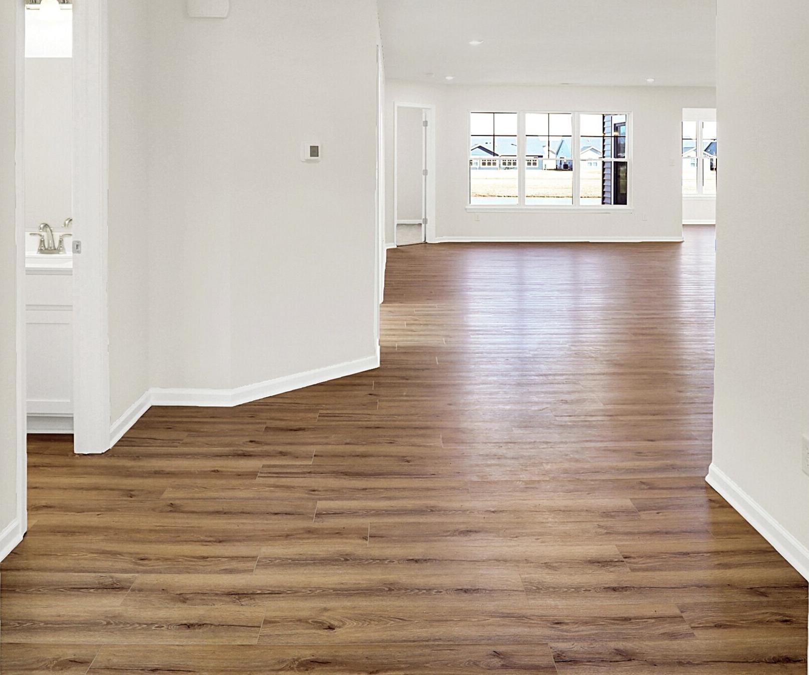 Photo #5
