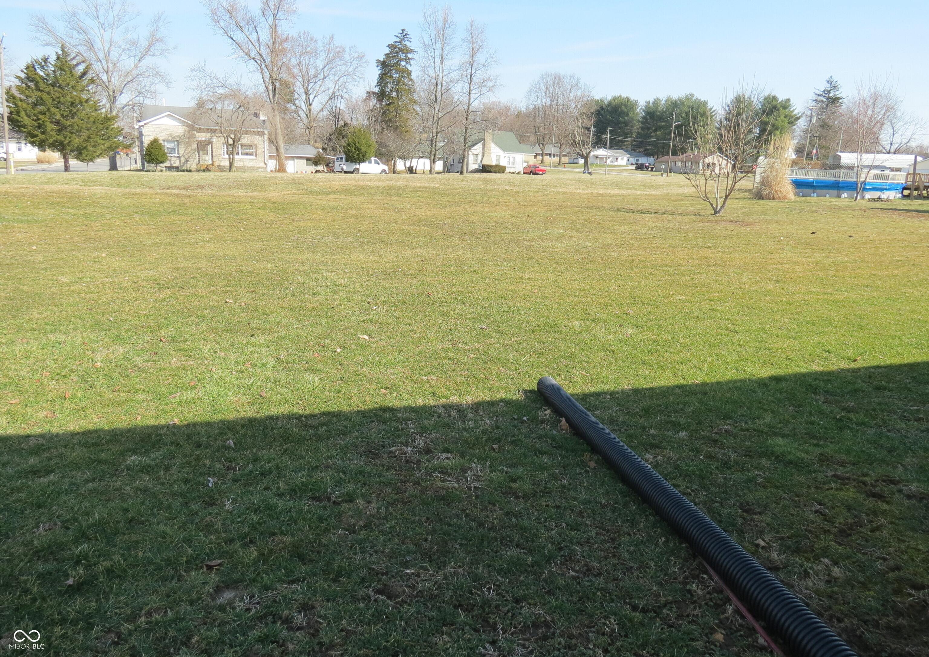 Photo #4