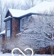 Photo #14