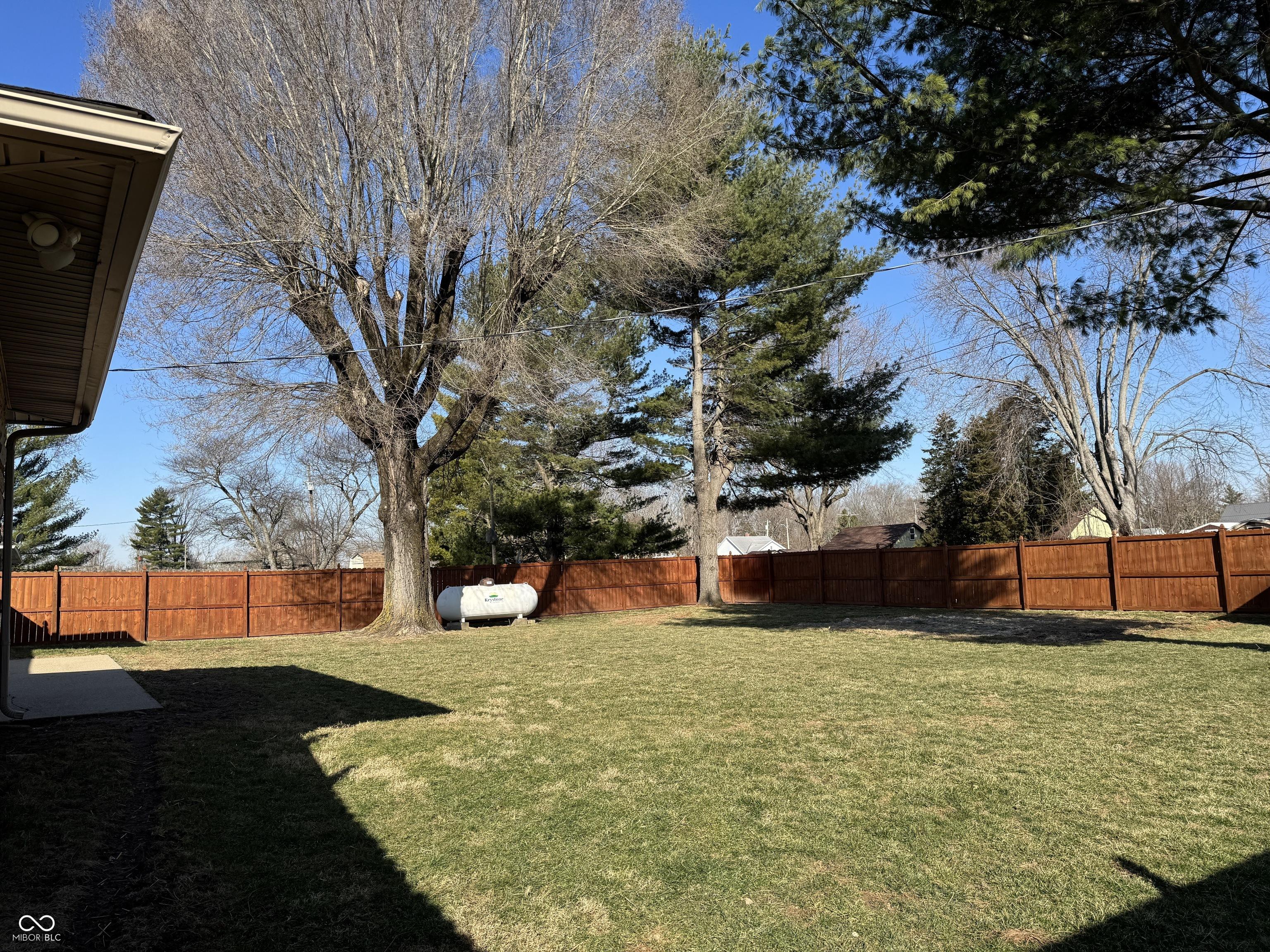 Photo #15
