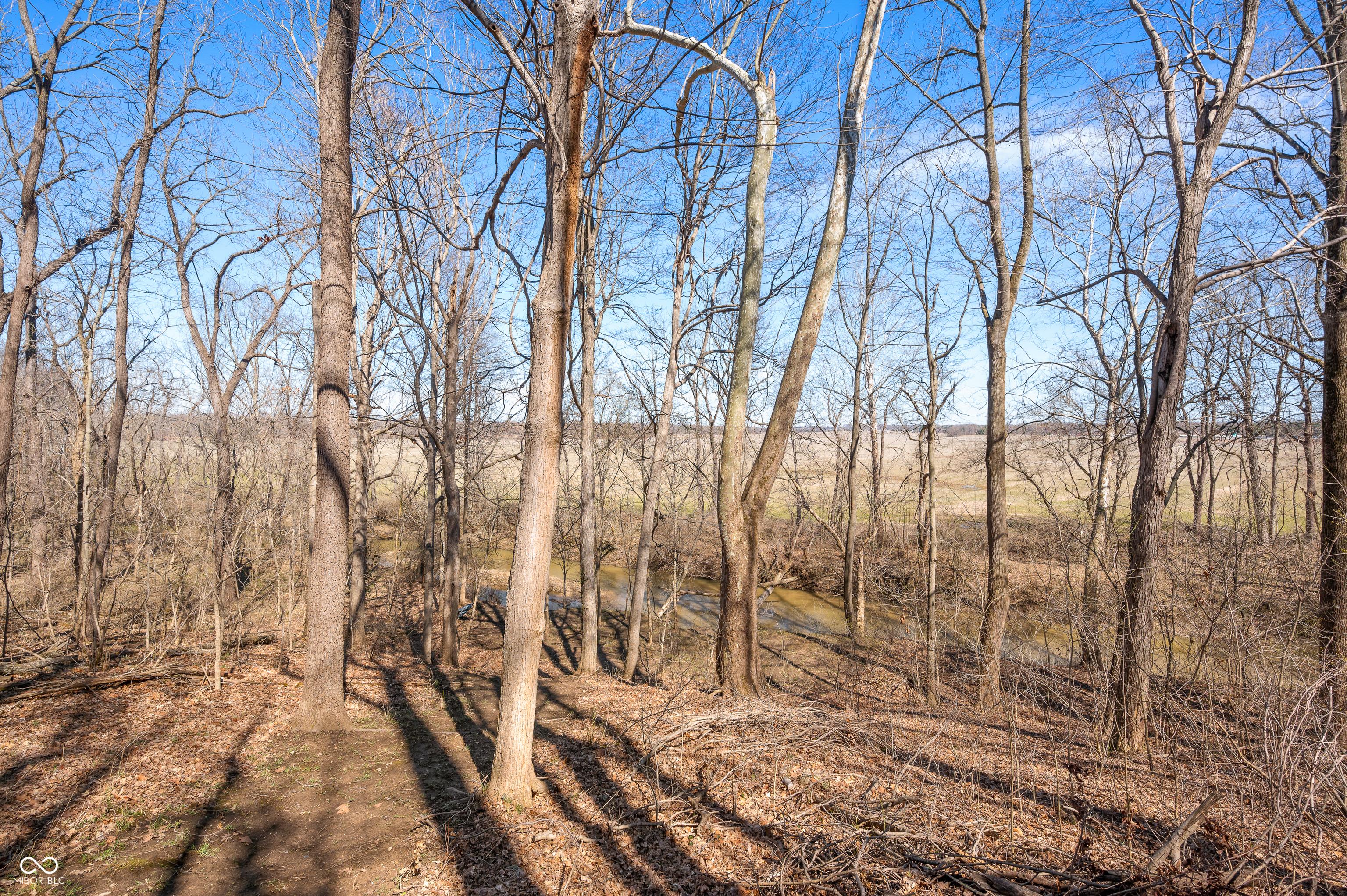 Photo #38