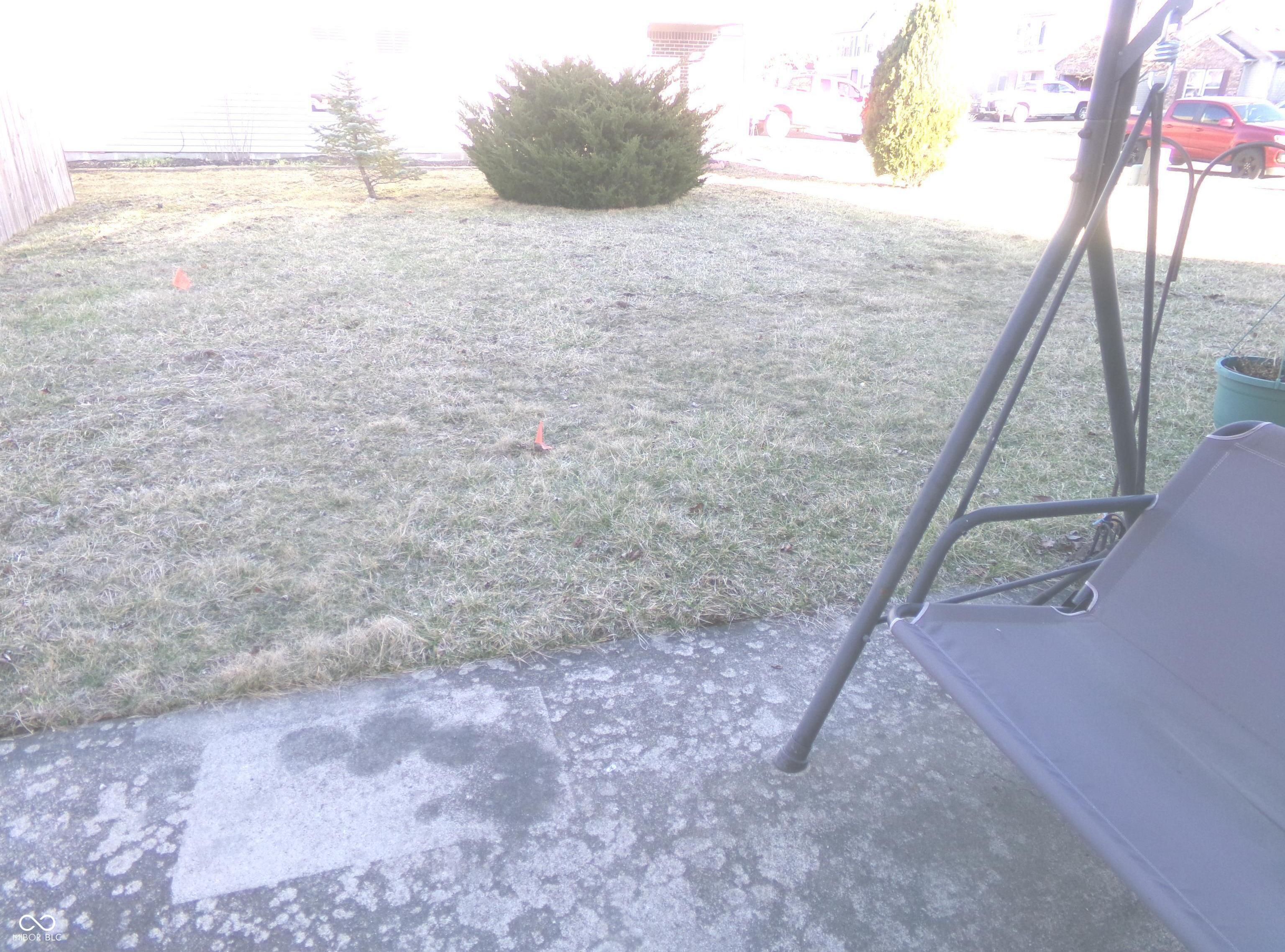 Photo #4