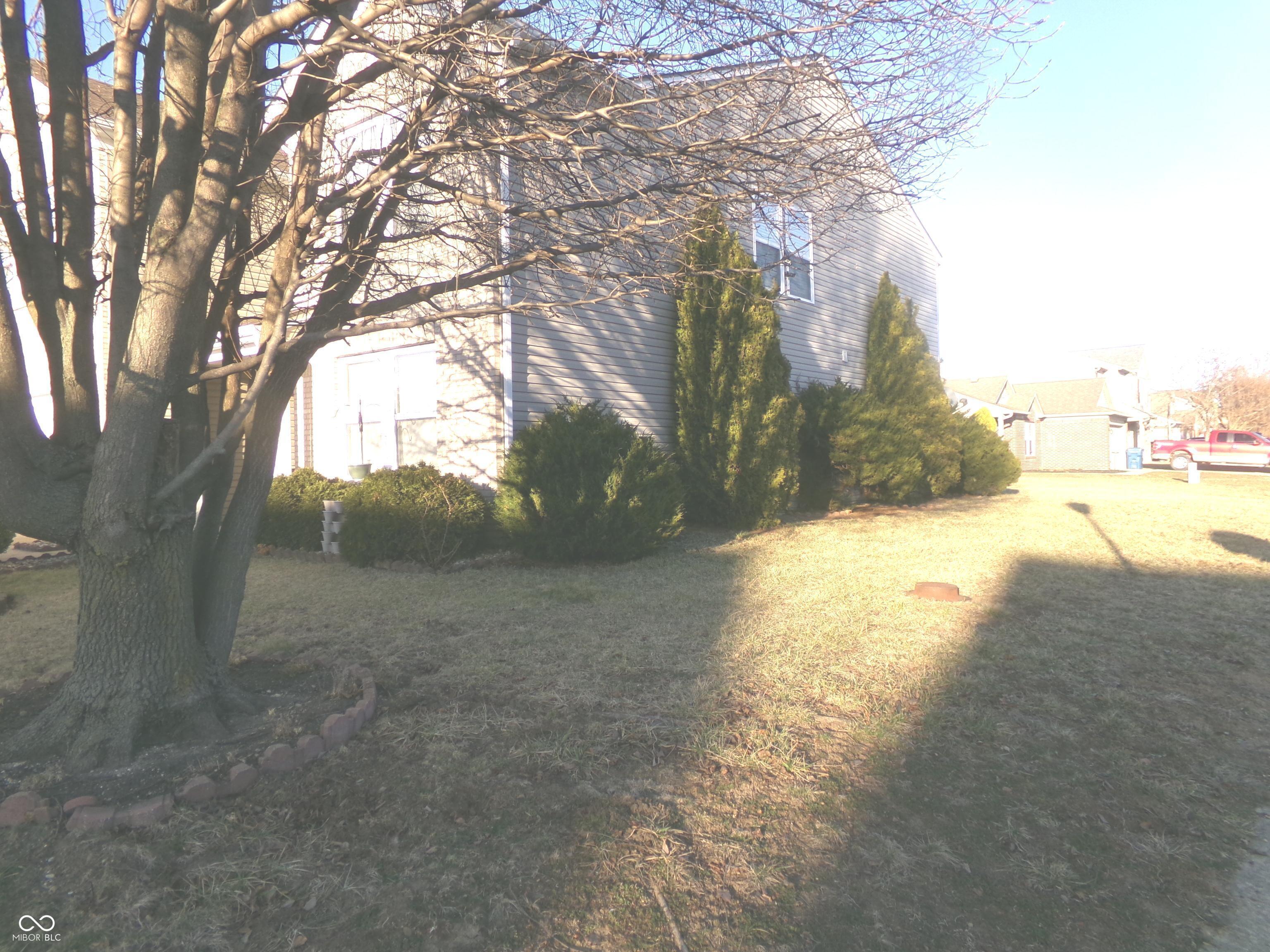 Photo #33
