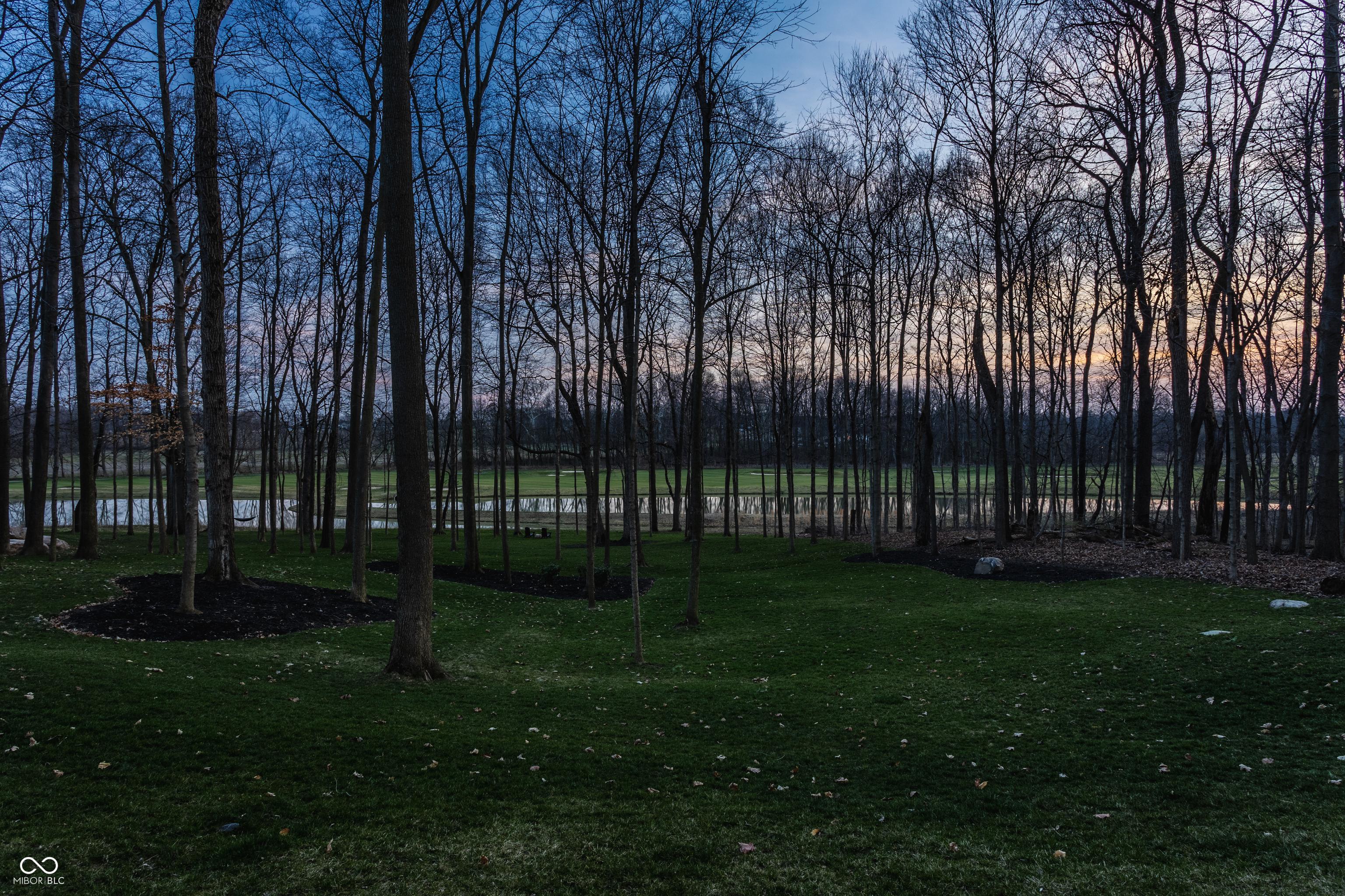 Photo #67