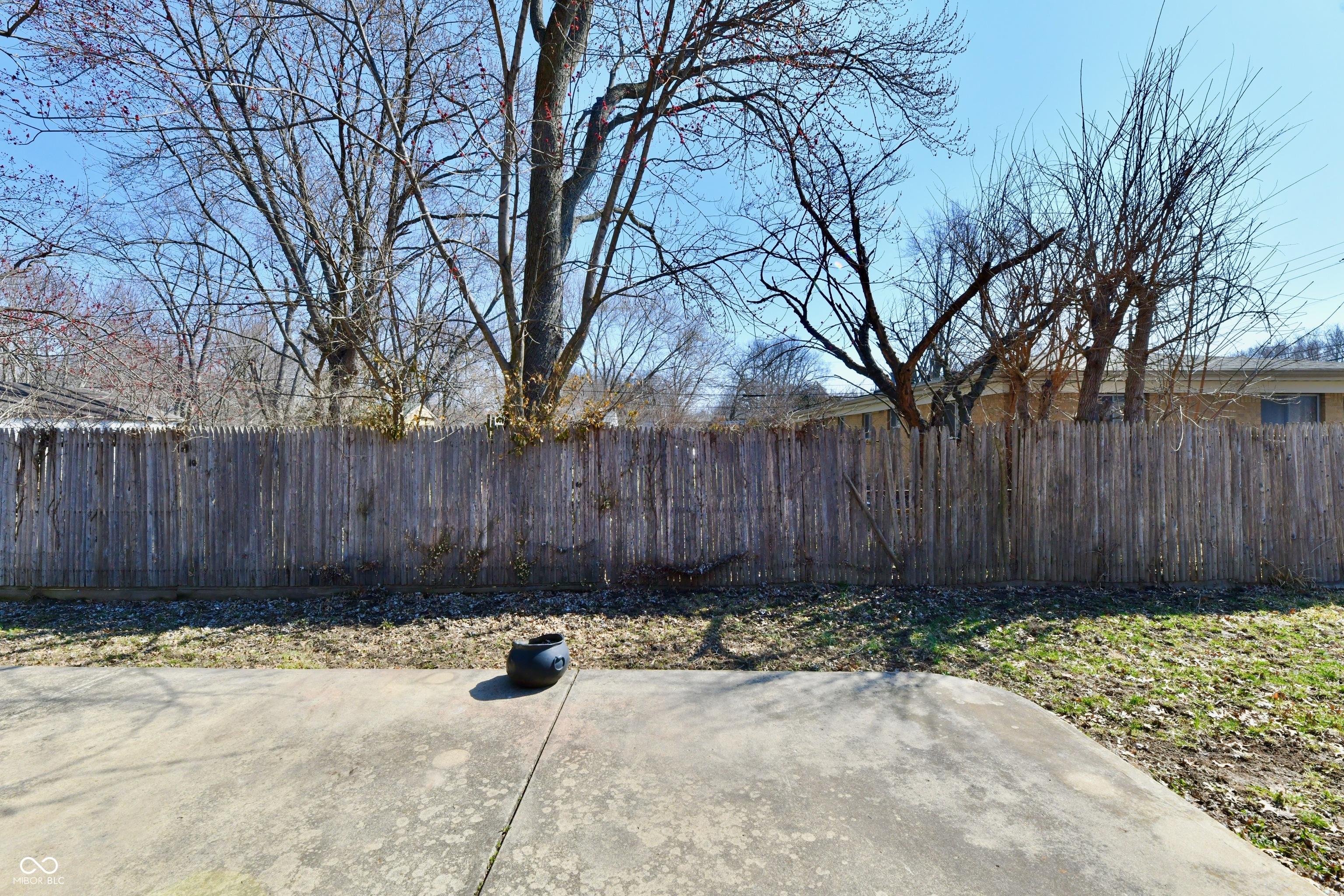 Photo #6