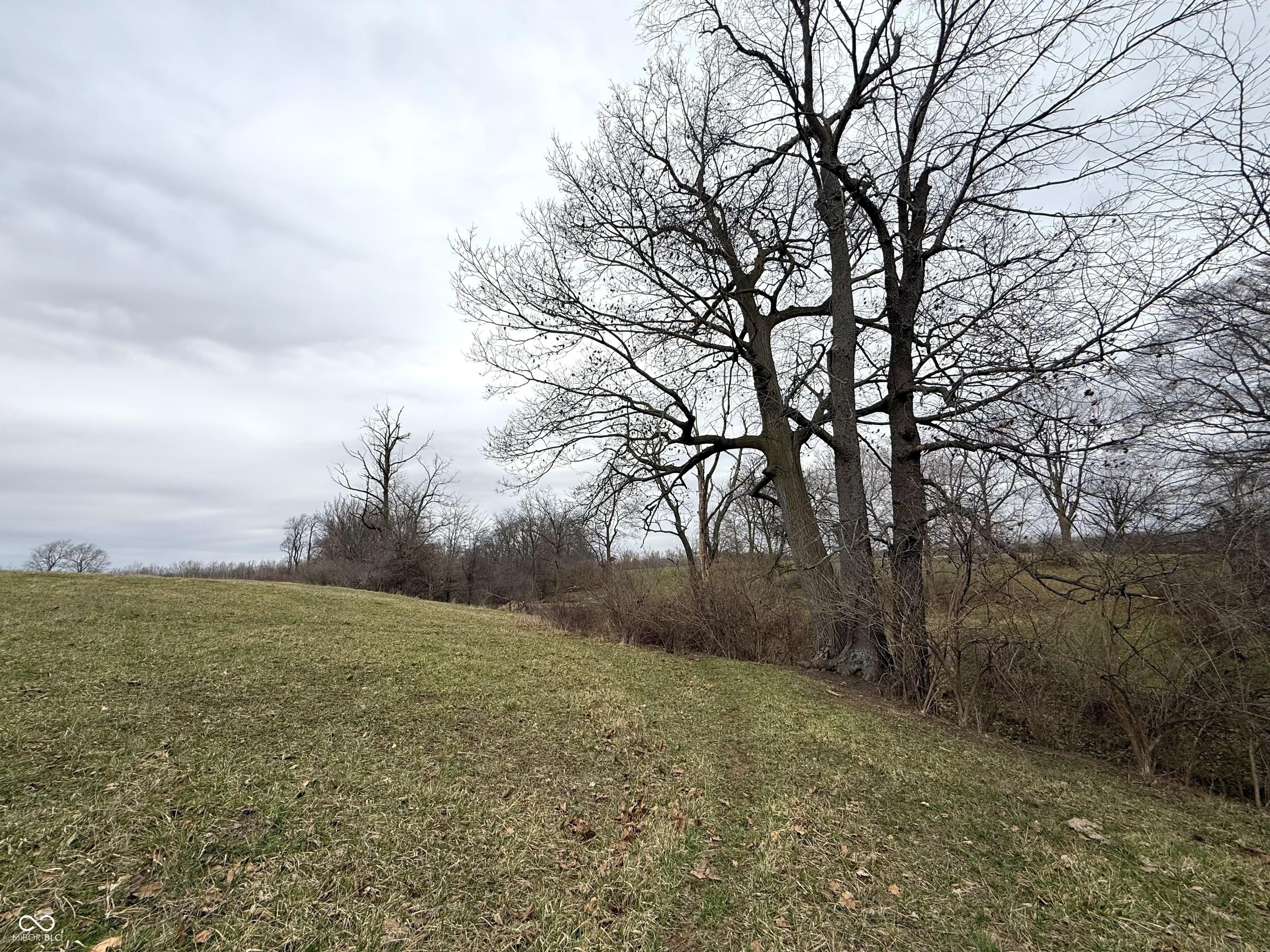 Photo #28