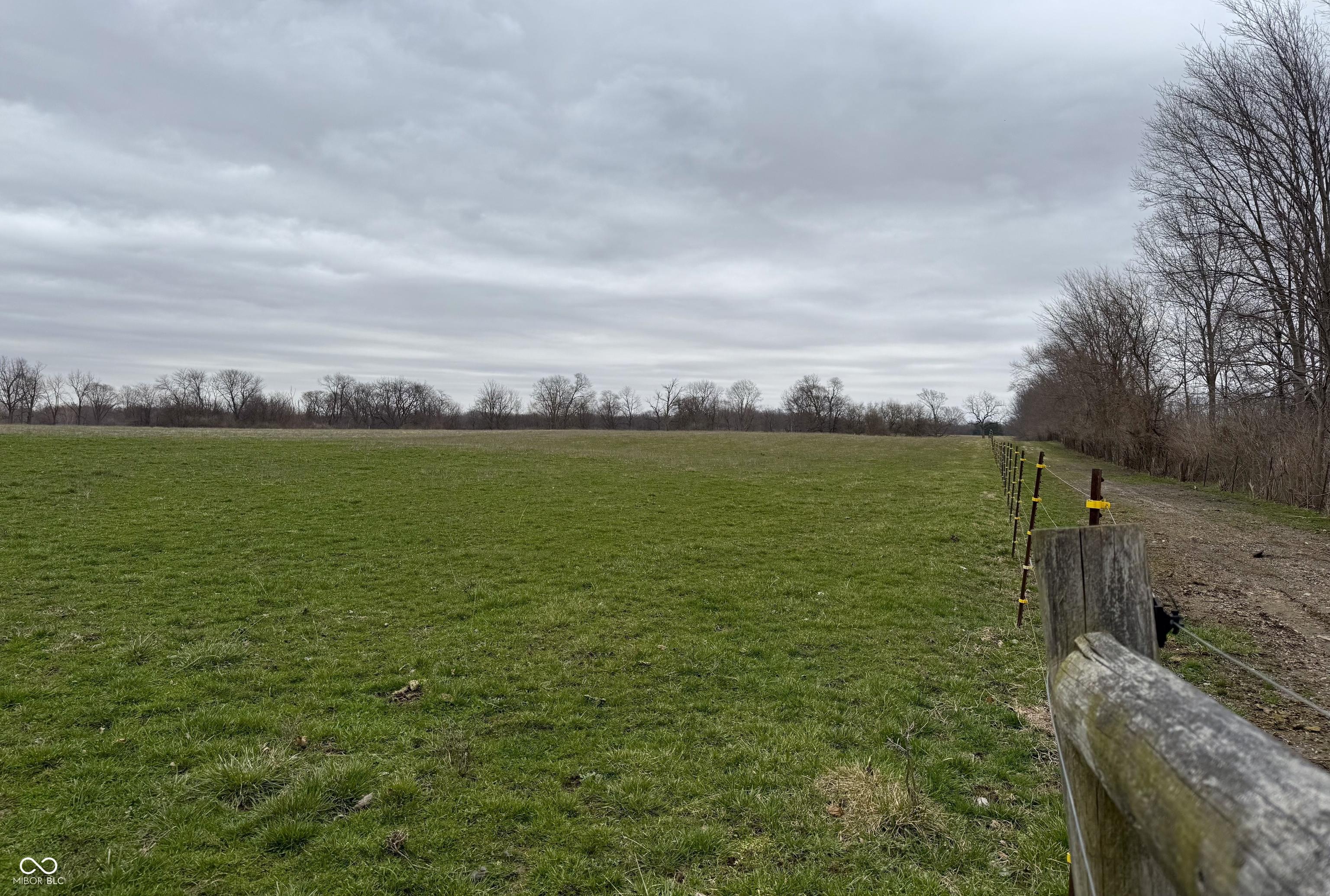 Photo #29