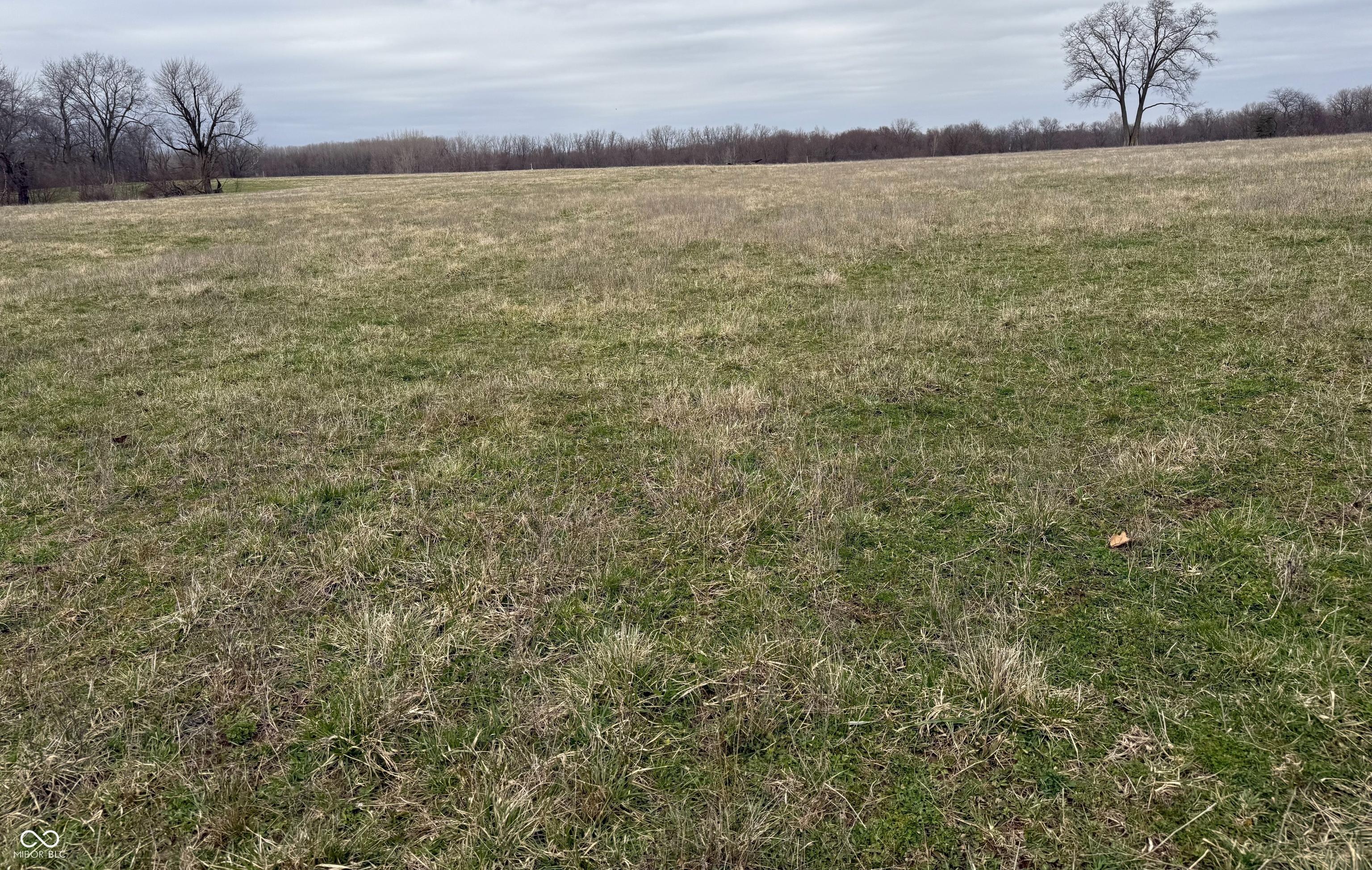 Photo #26