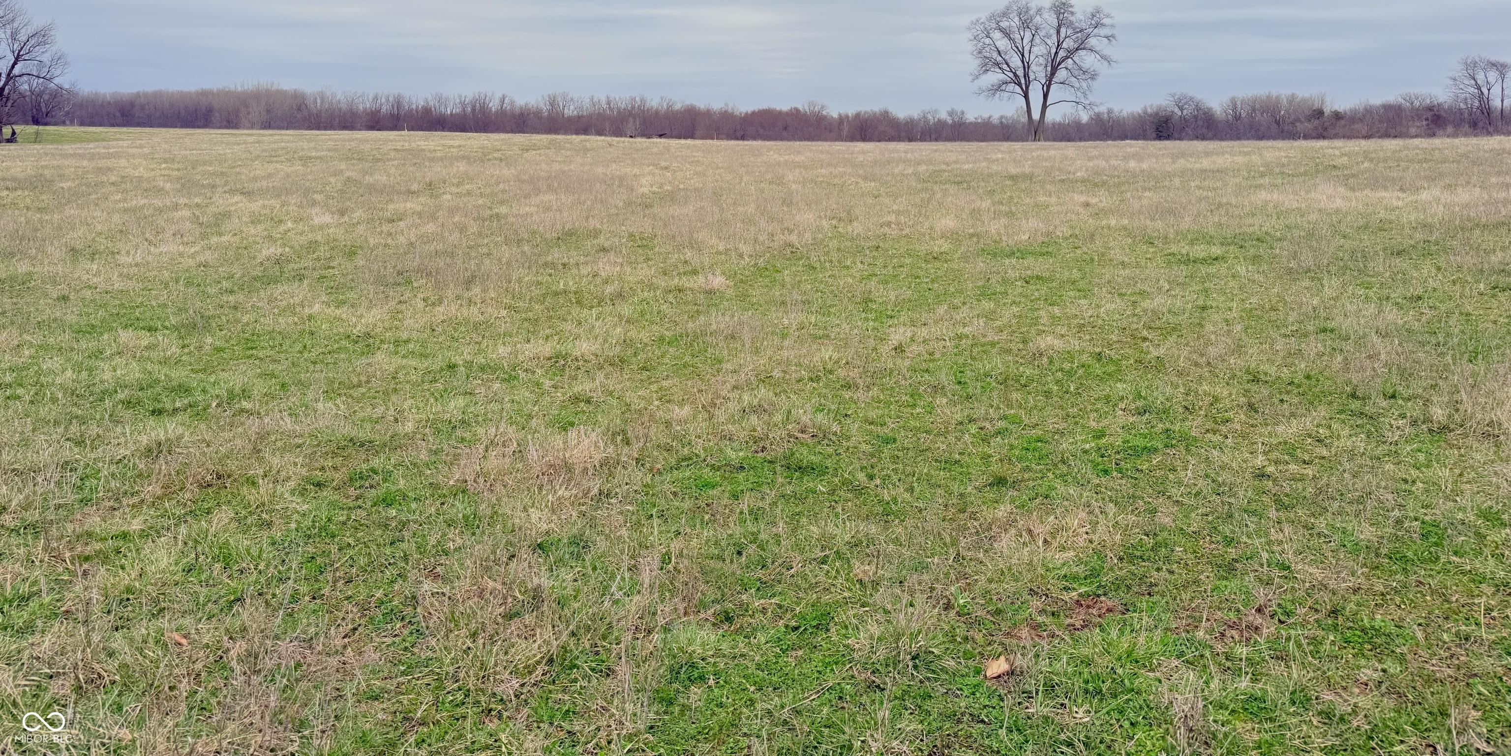 Photo #25