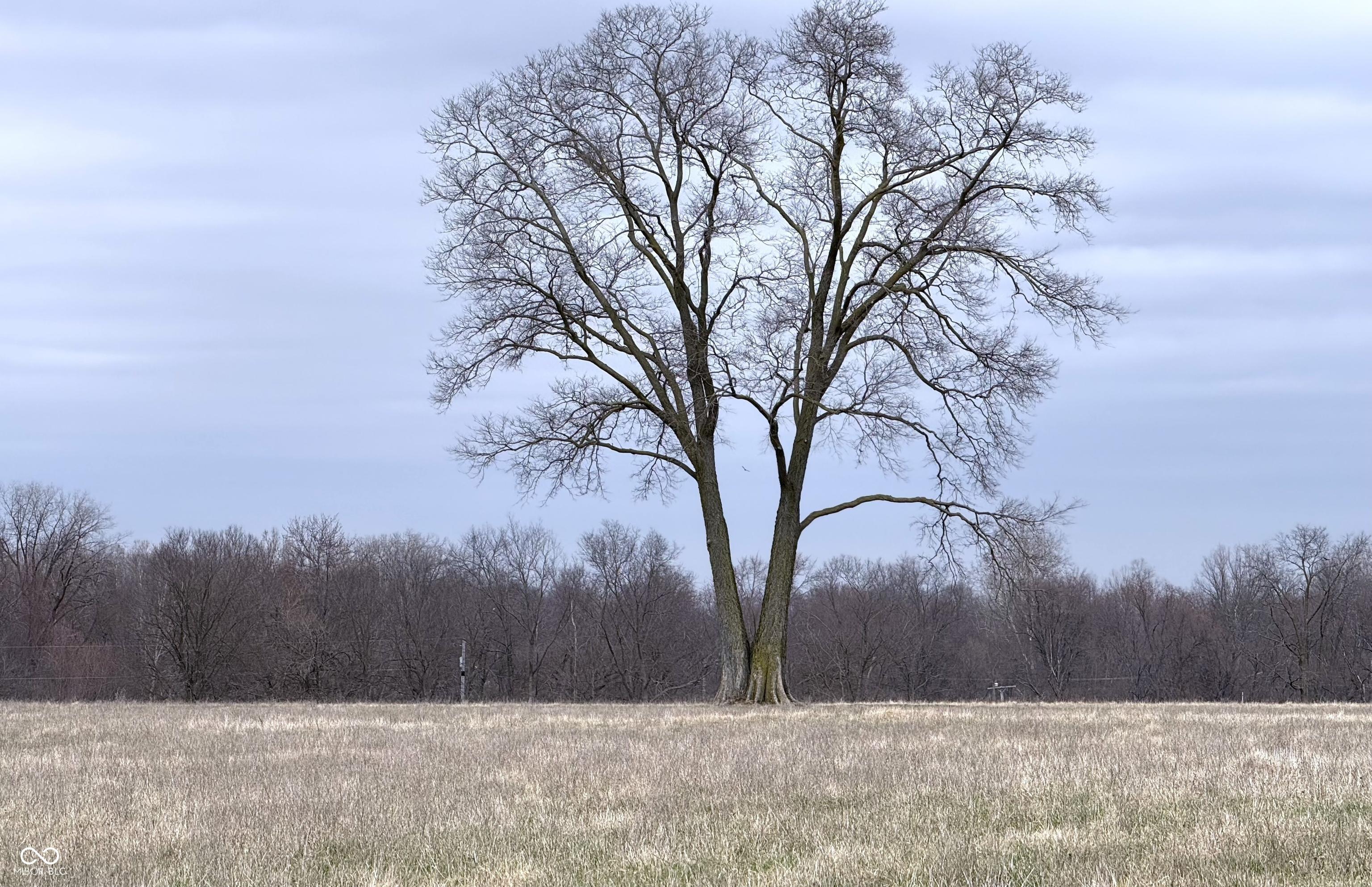Photo #24