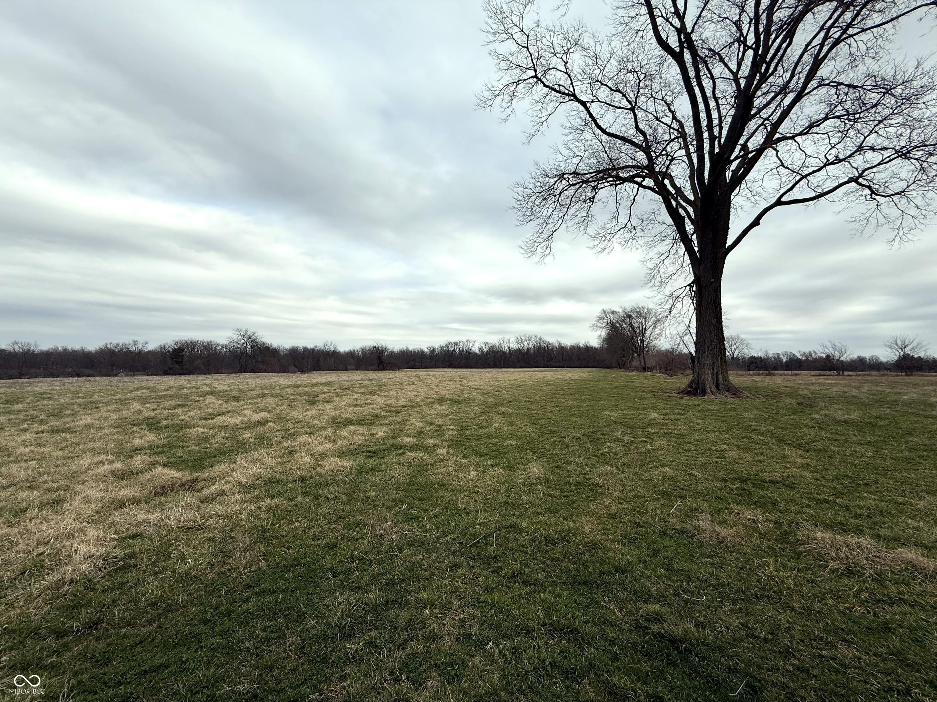 Photo #8