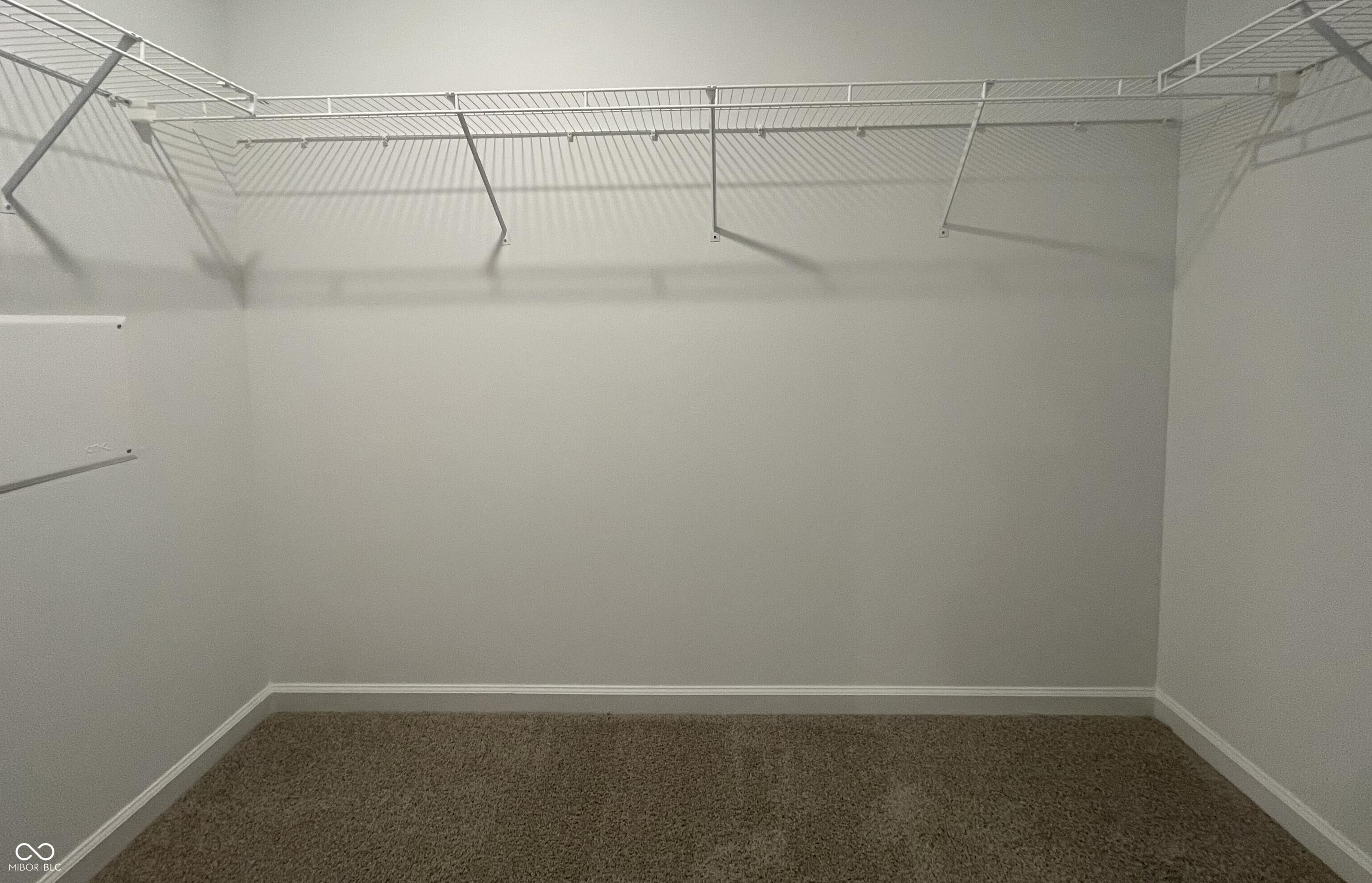 Photo #10