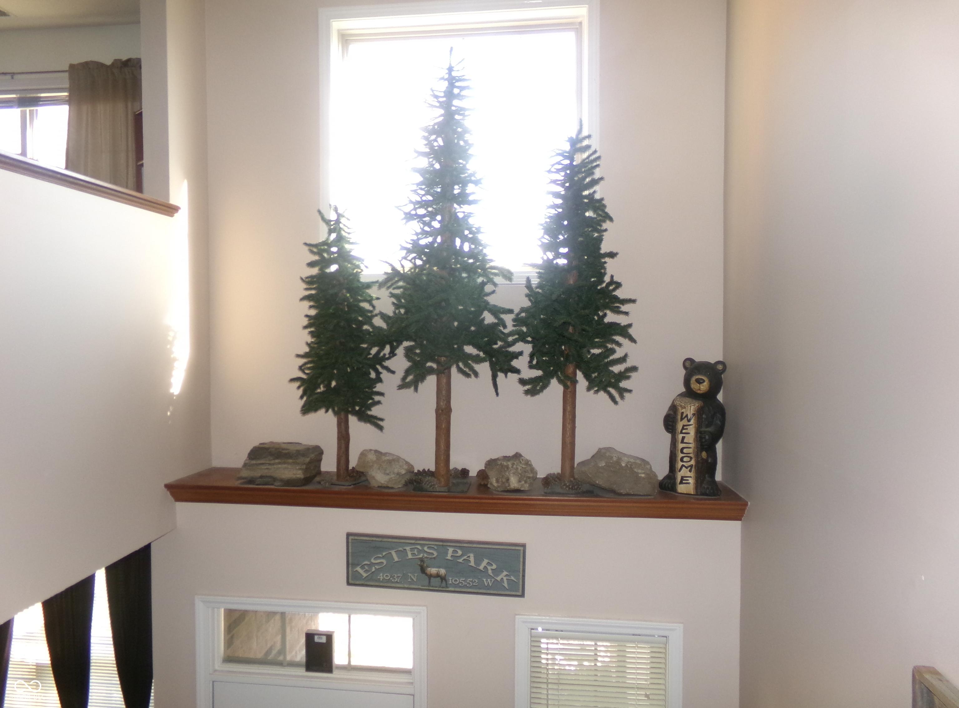 Photo #8