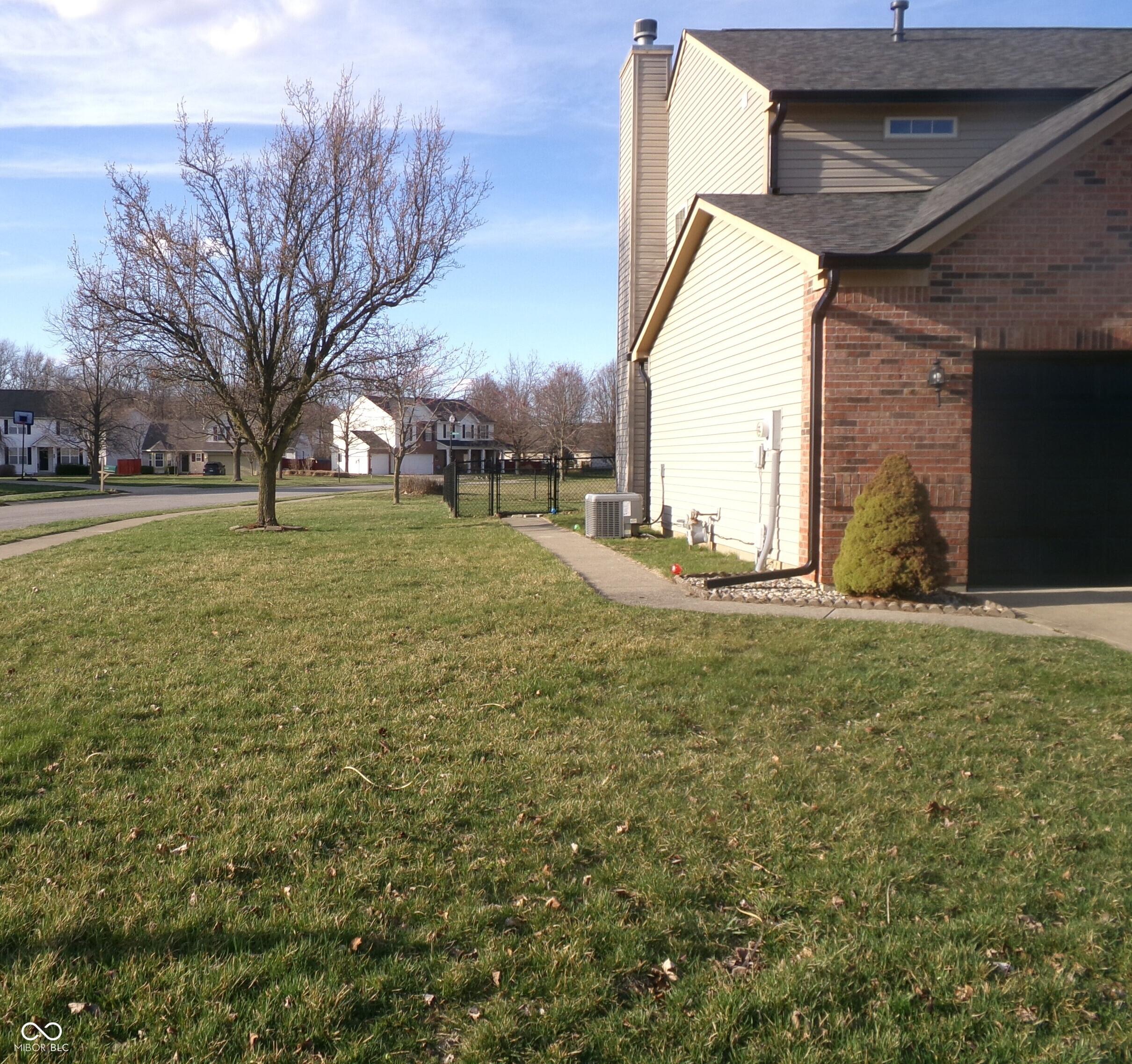 Photo #4
