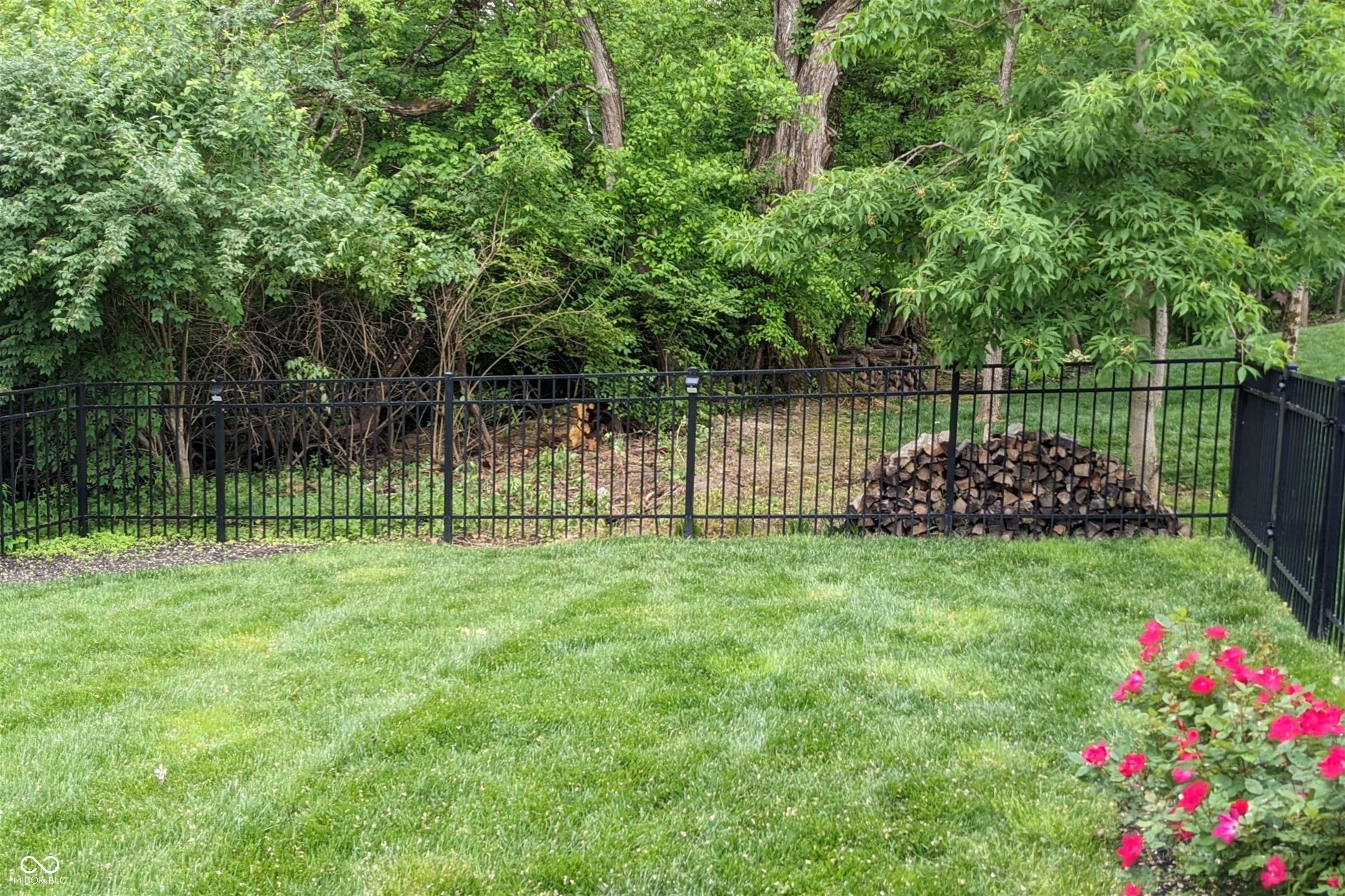 Photo #37