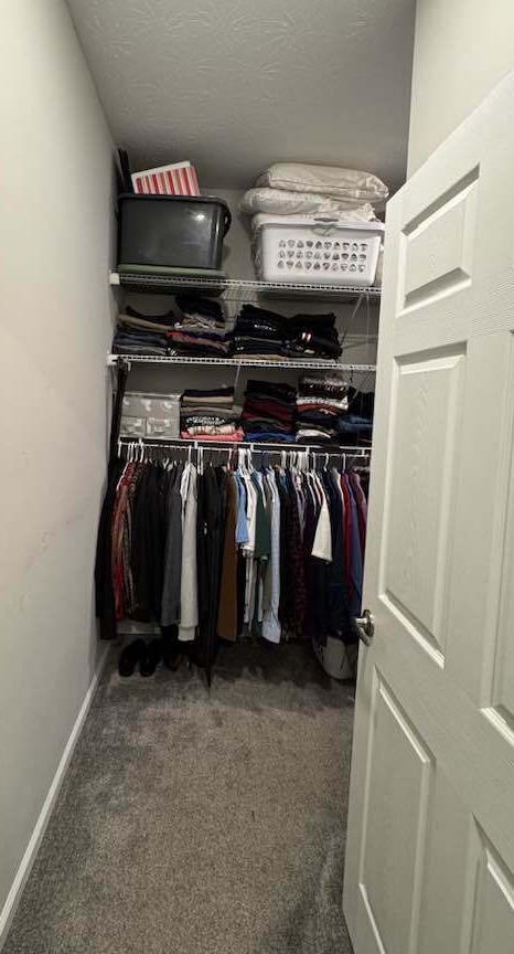 Photo #47