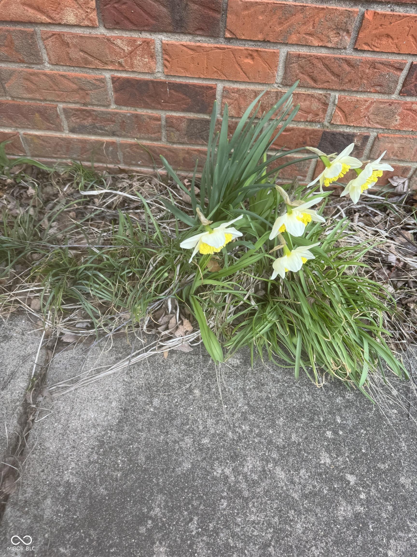 Photo #24