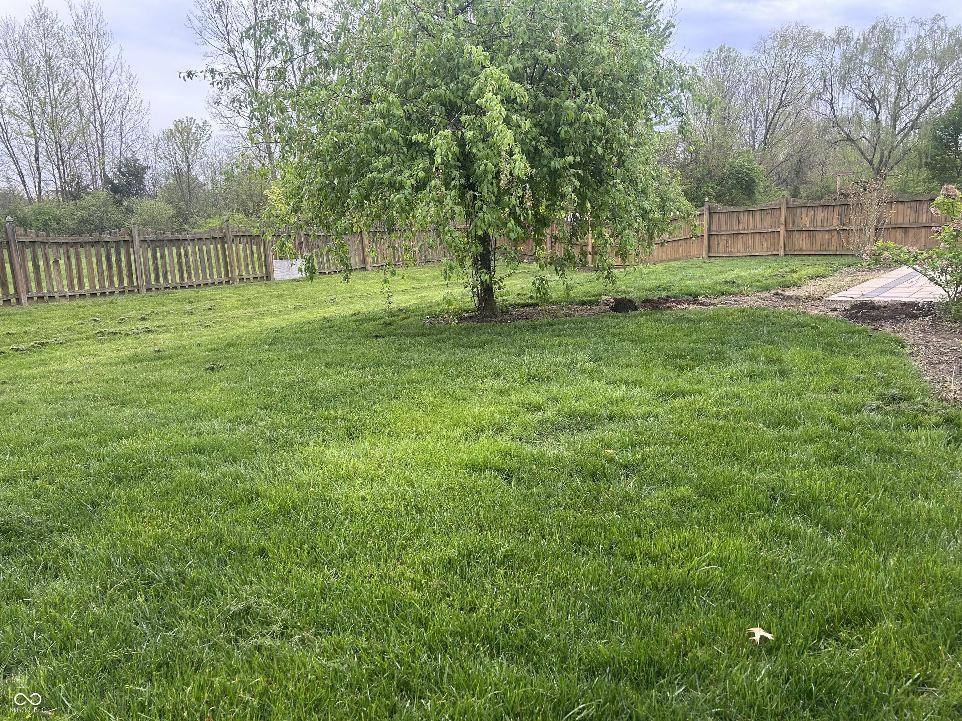Photo #36
