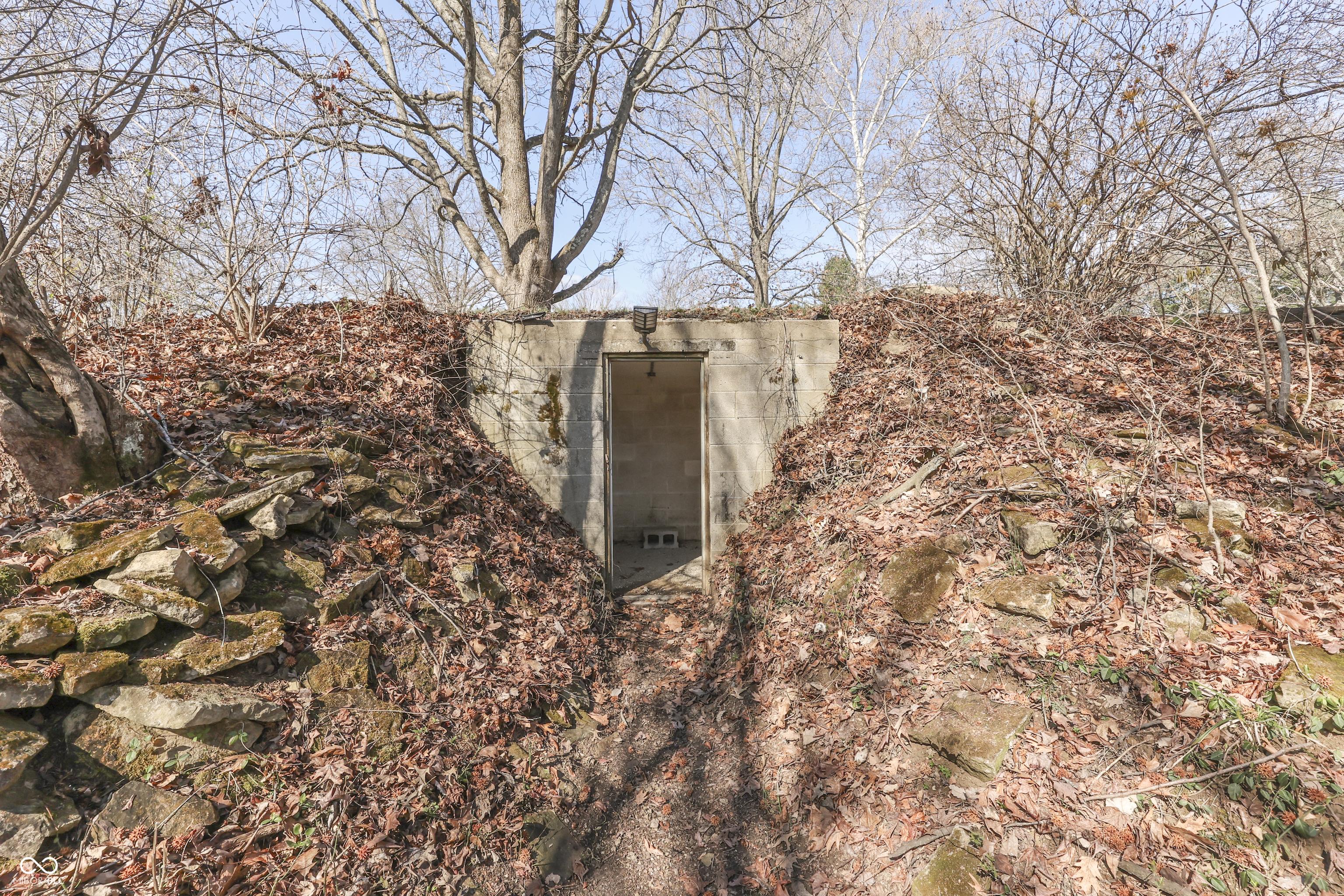 Photo #43