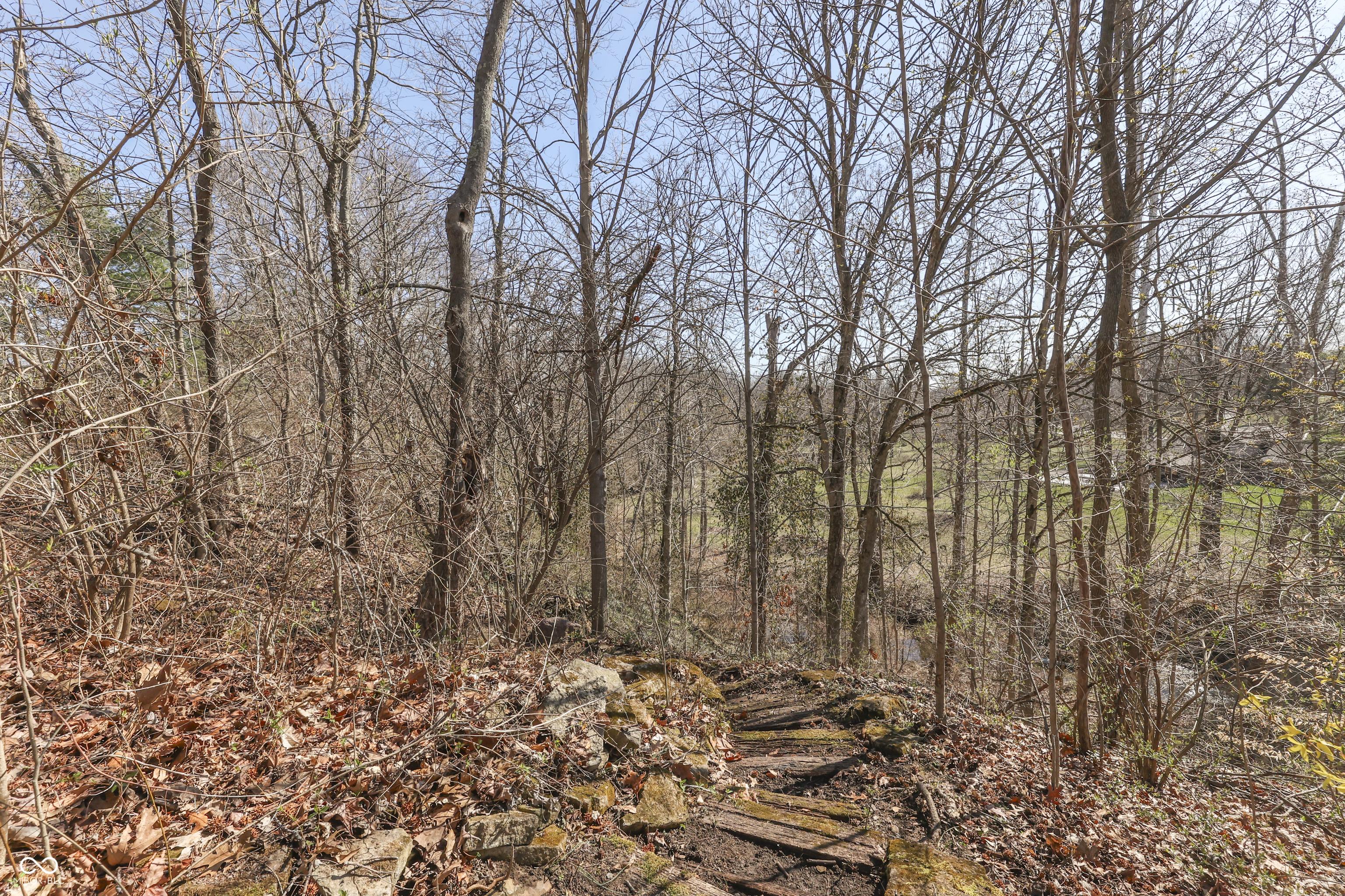 Photo #42