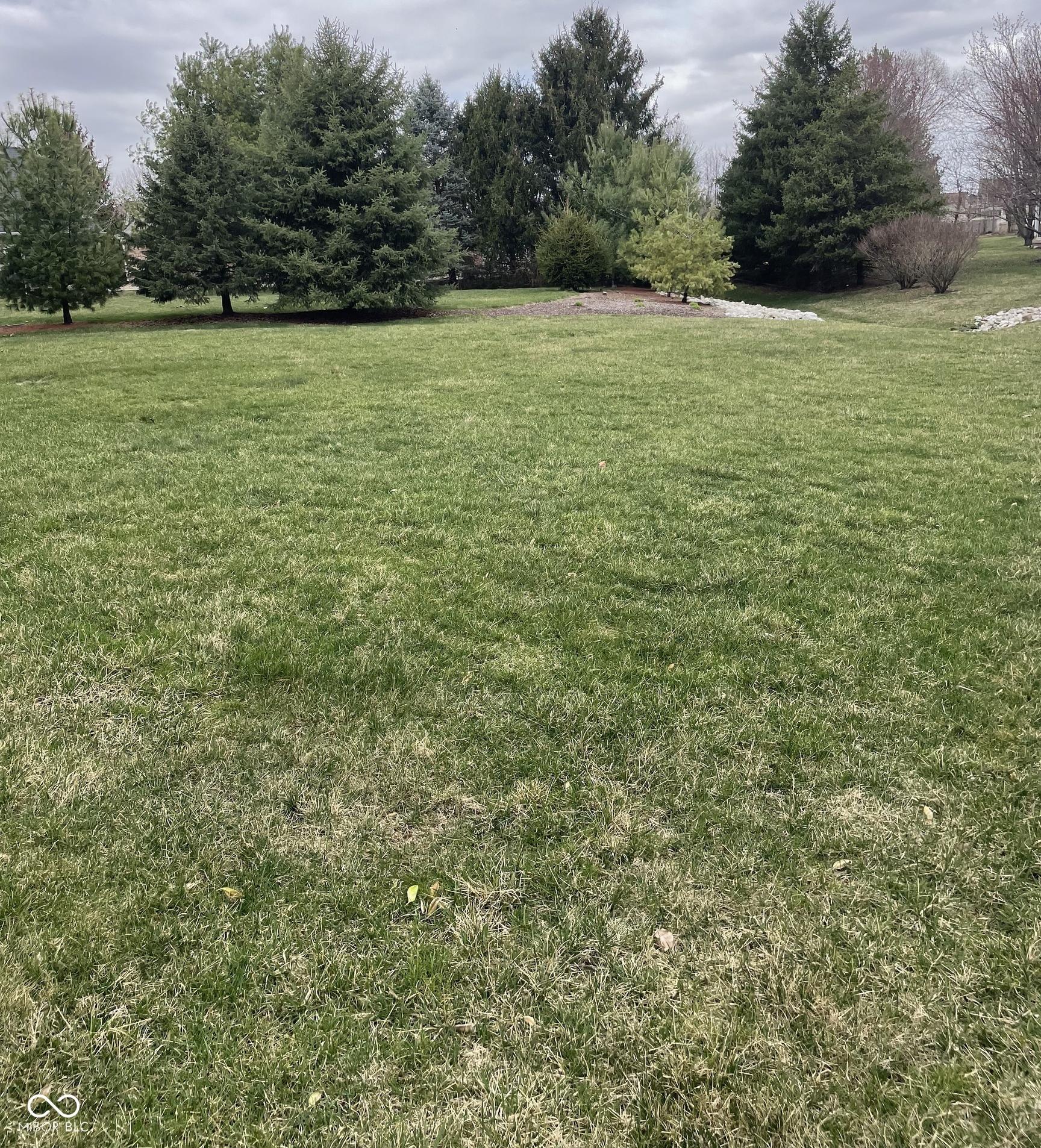 Photo #27
