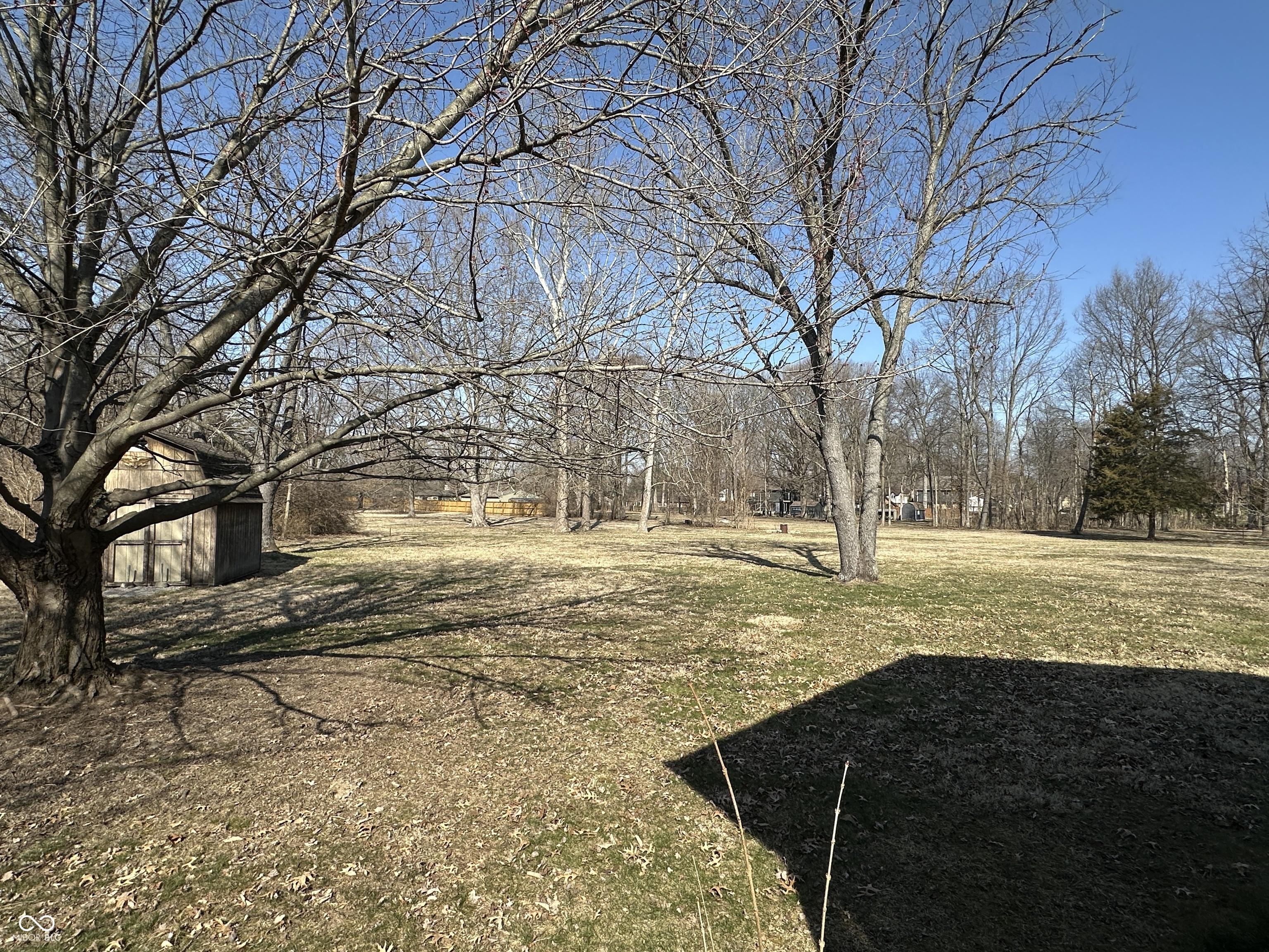 Photo #4