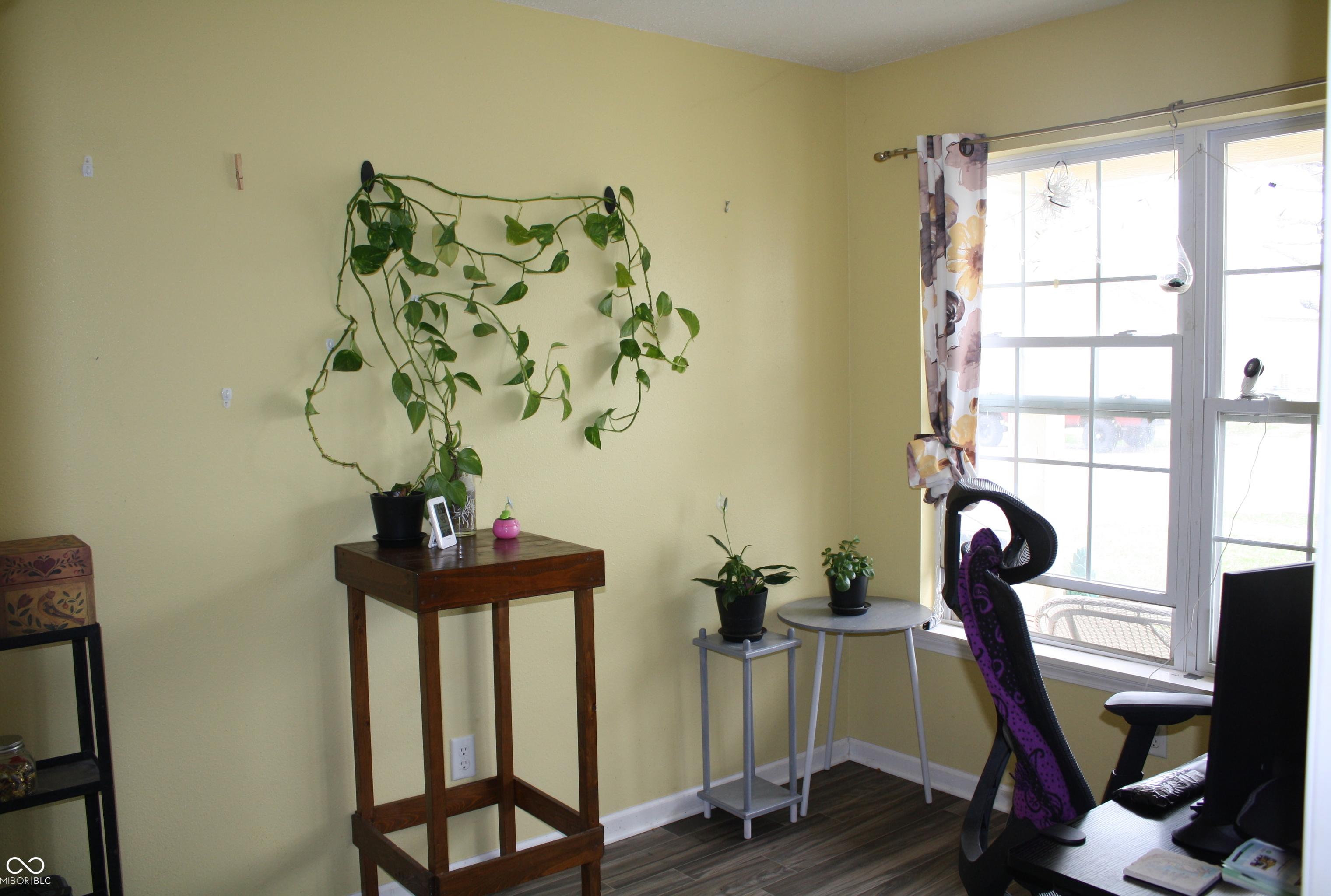 Photo #28