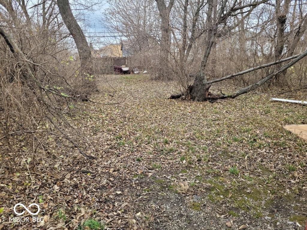 Photo #4