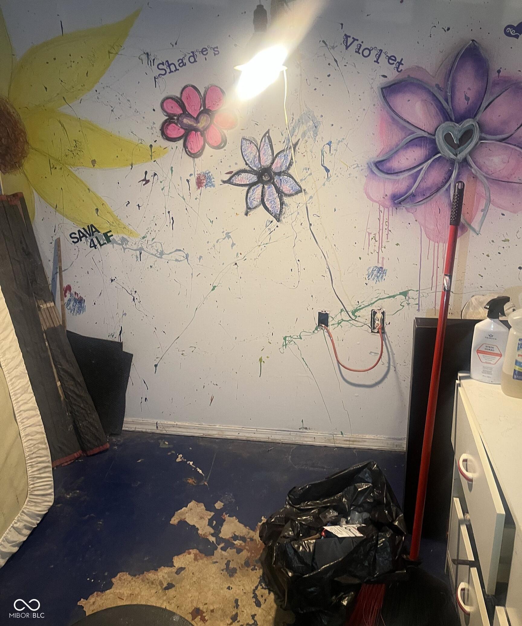 Photo #11