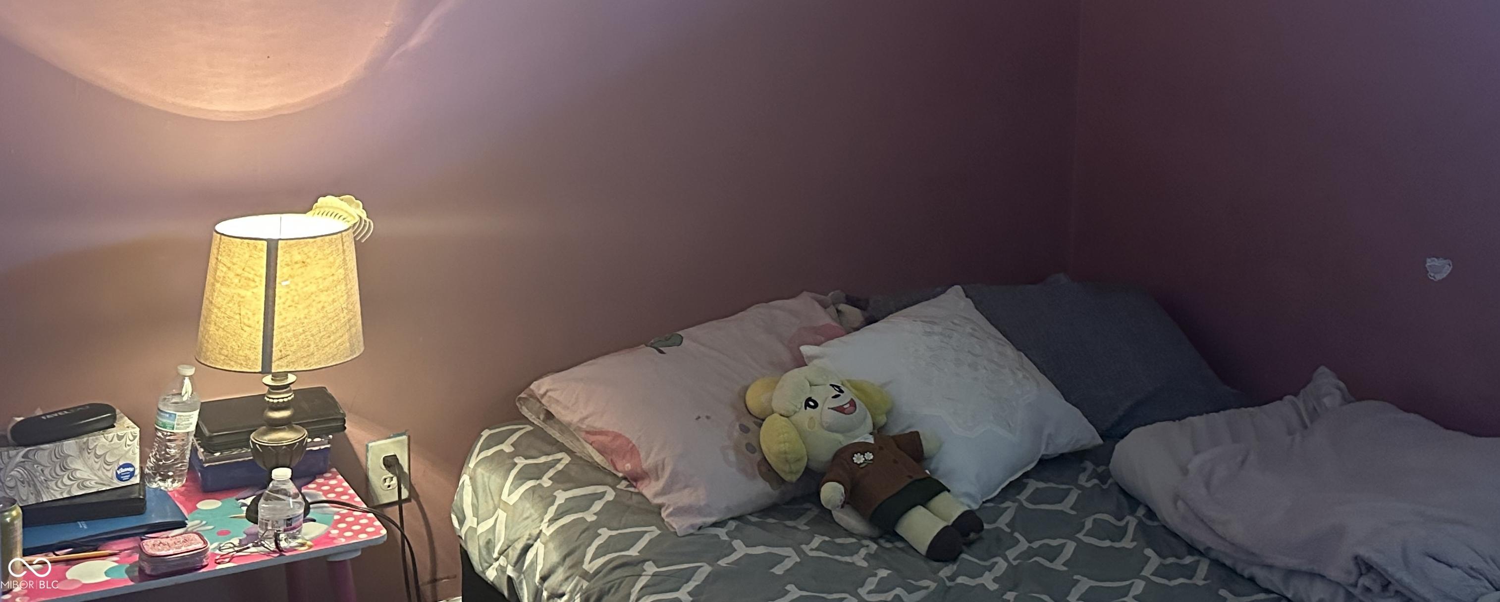 Photo #18