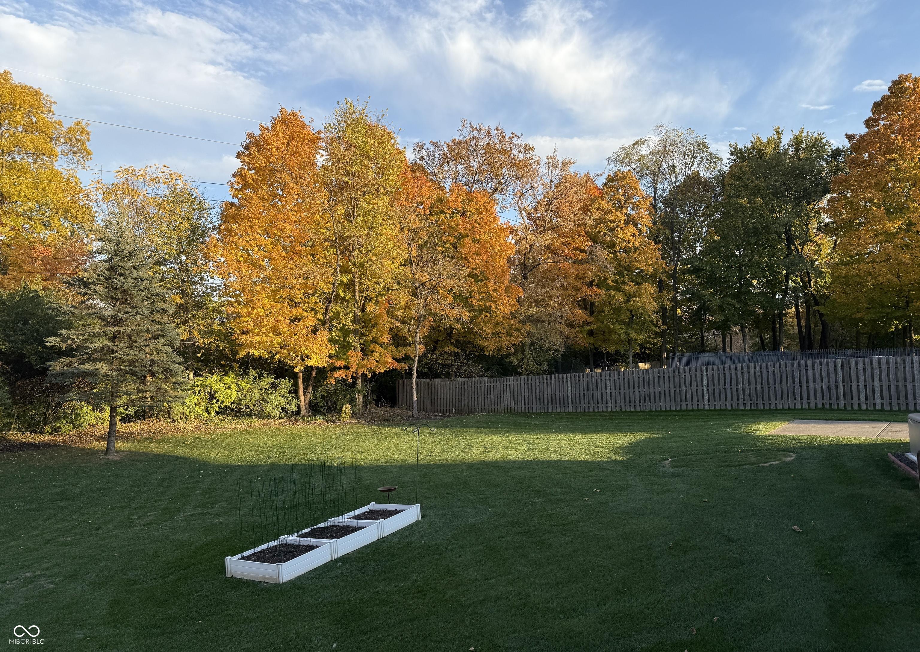 Photo #35