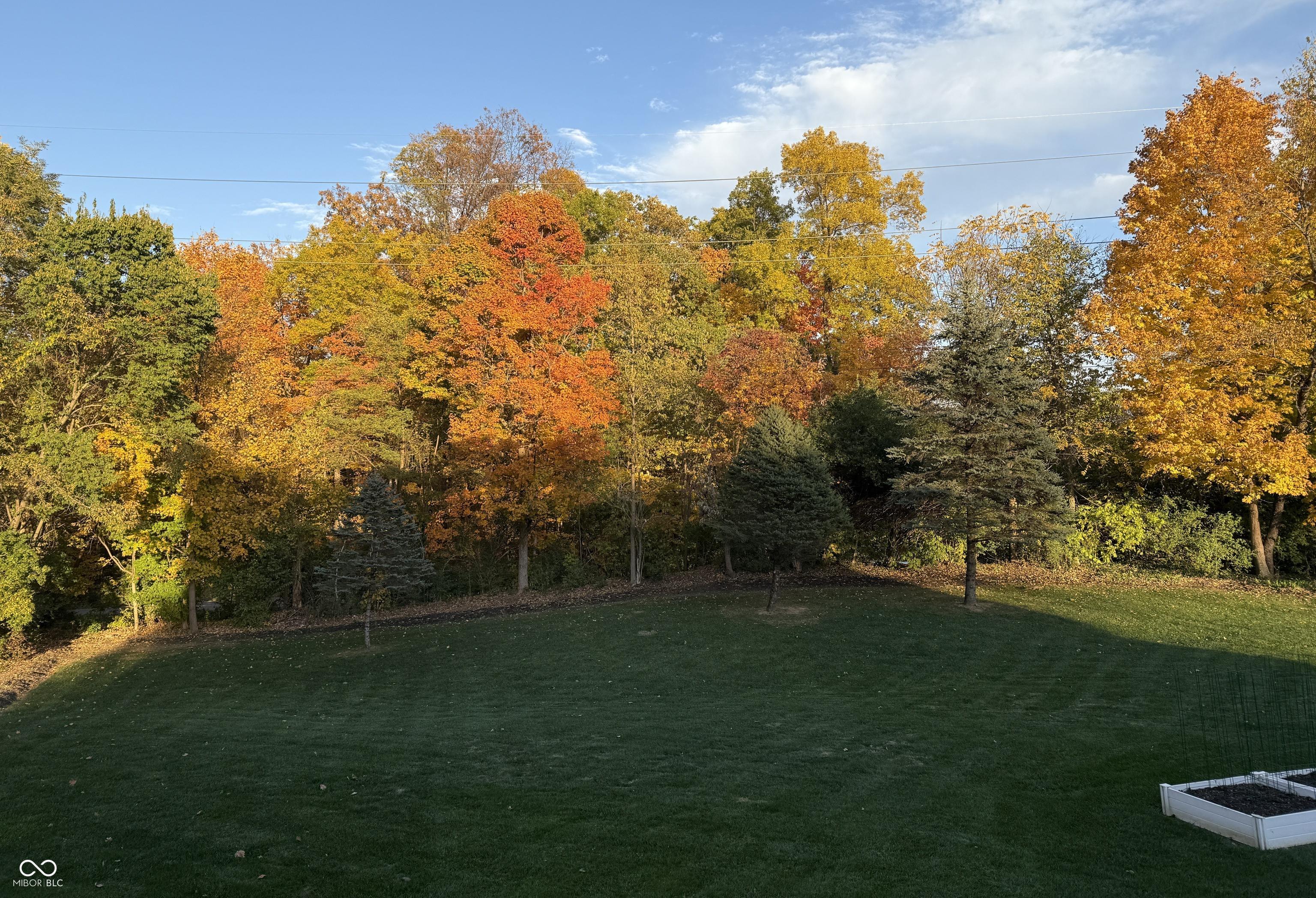 Photo #36