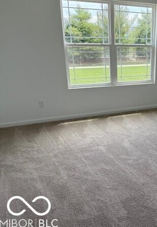Photo #6