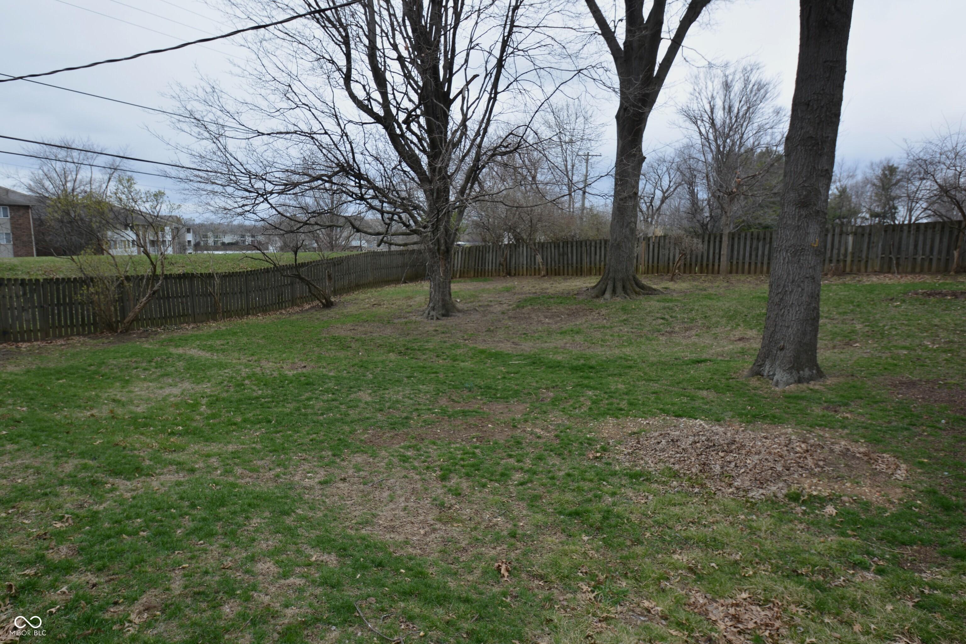 Photo #23