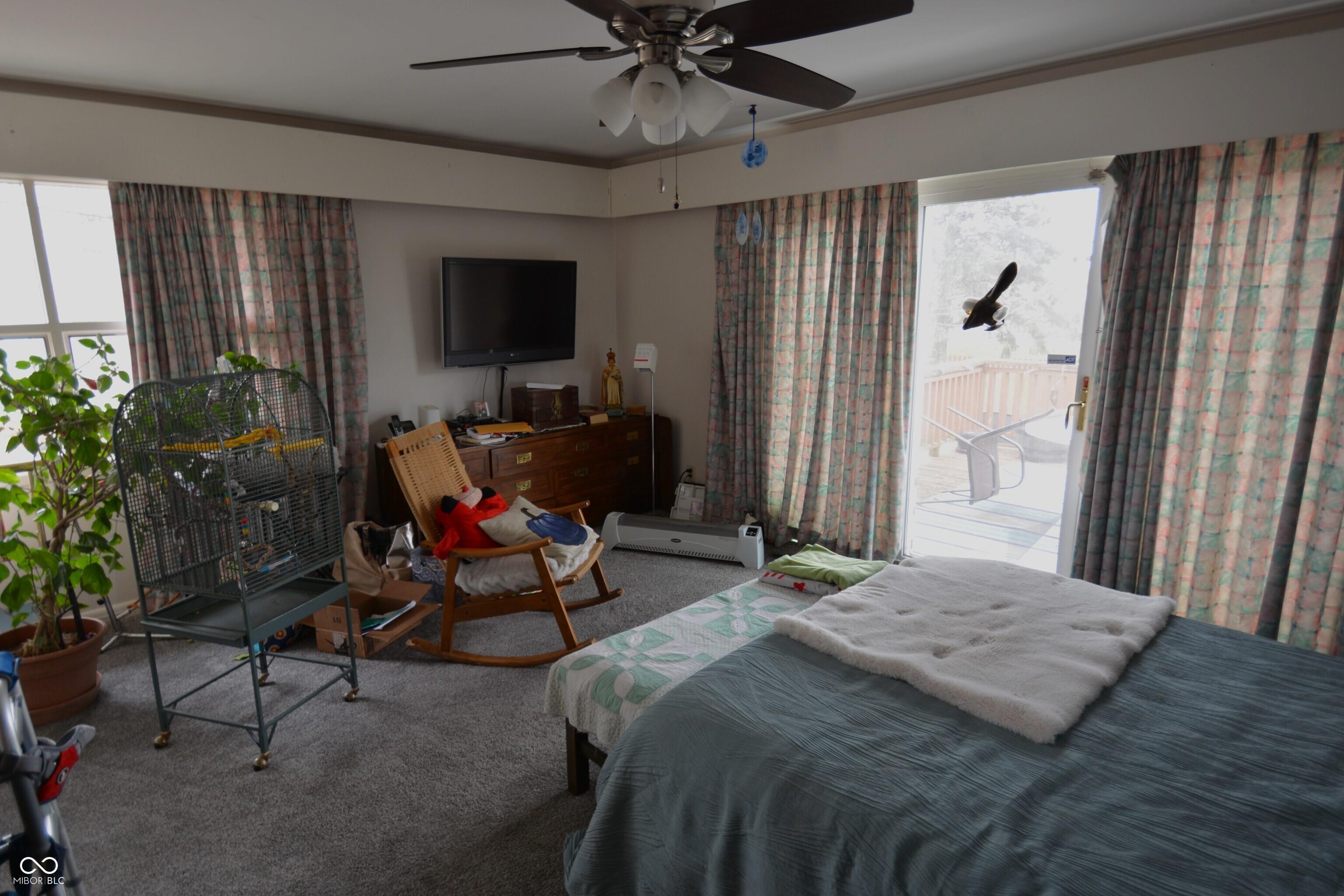 Photo #15