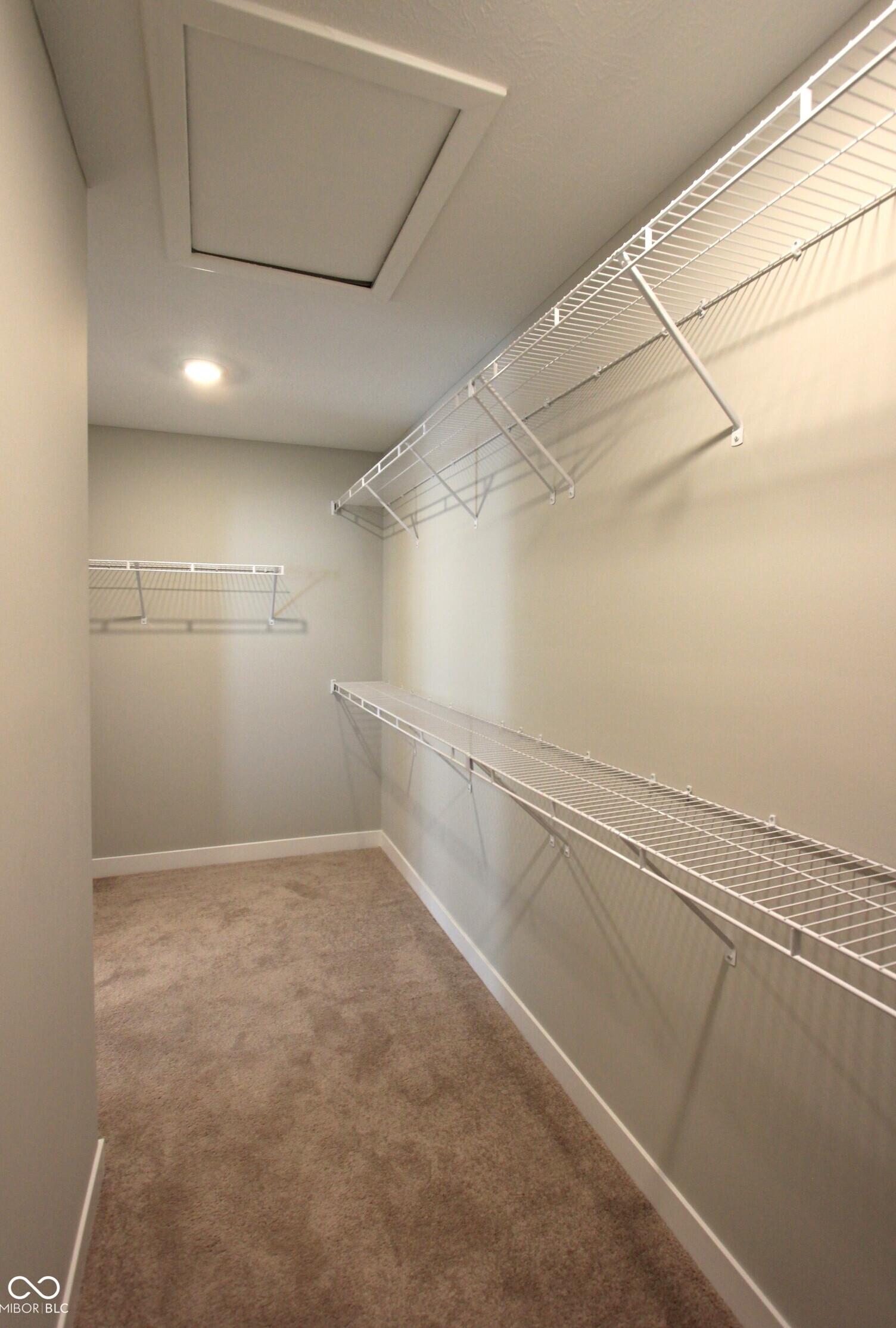 Photo #17