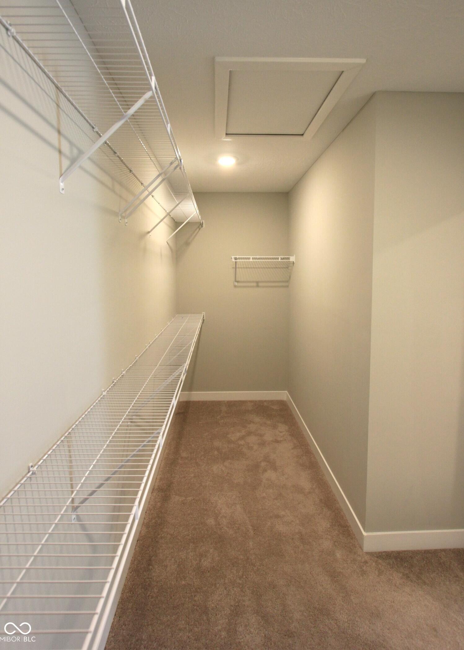 Photo #16