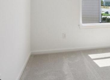 Photo #31