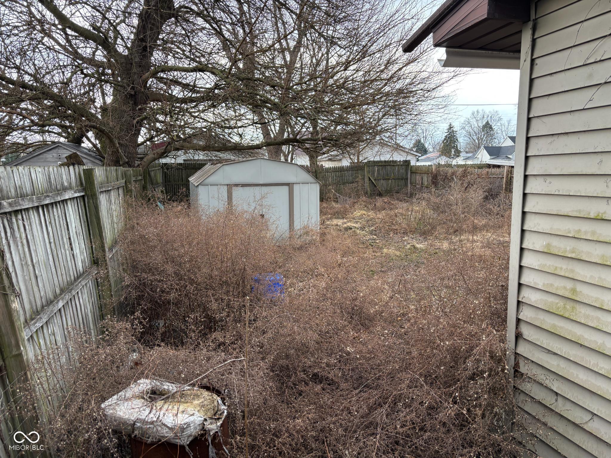 Photo #58
