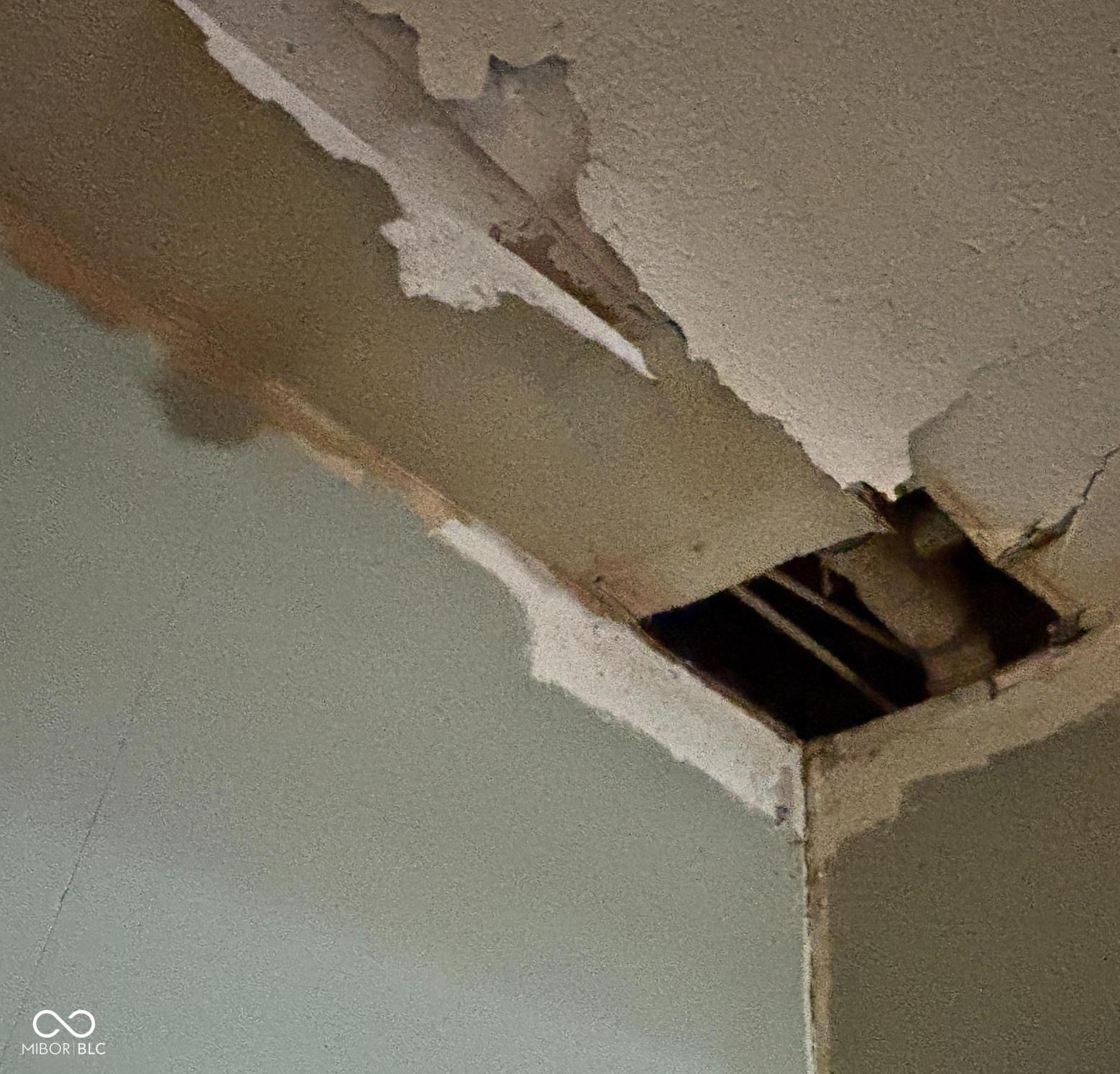Photo #26
