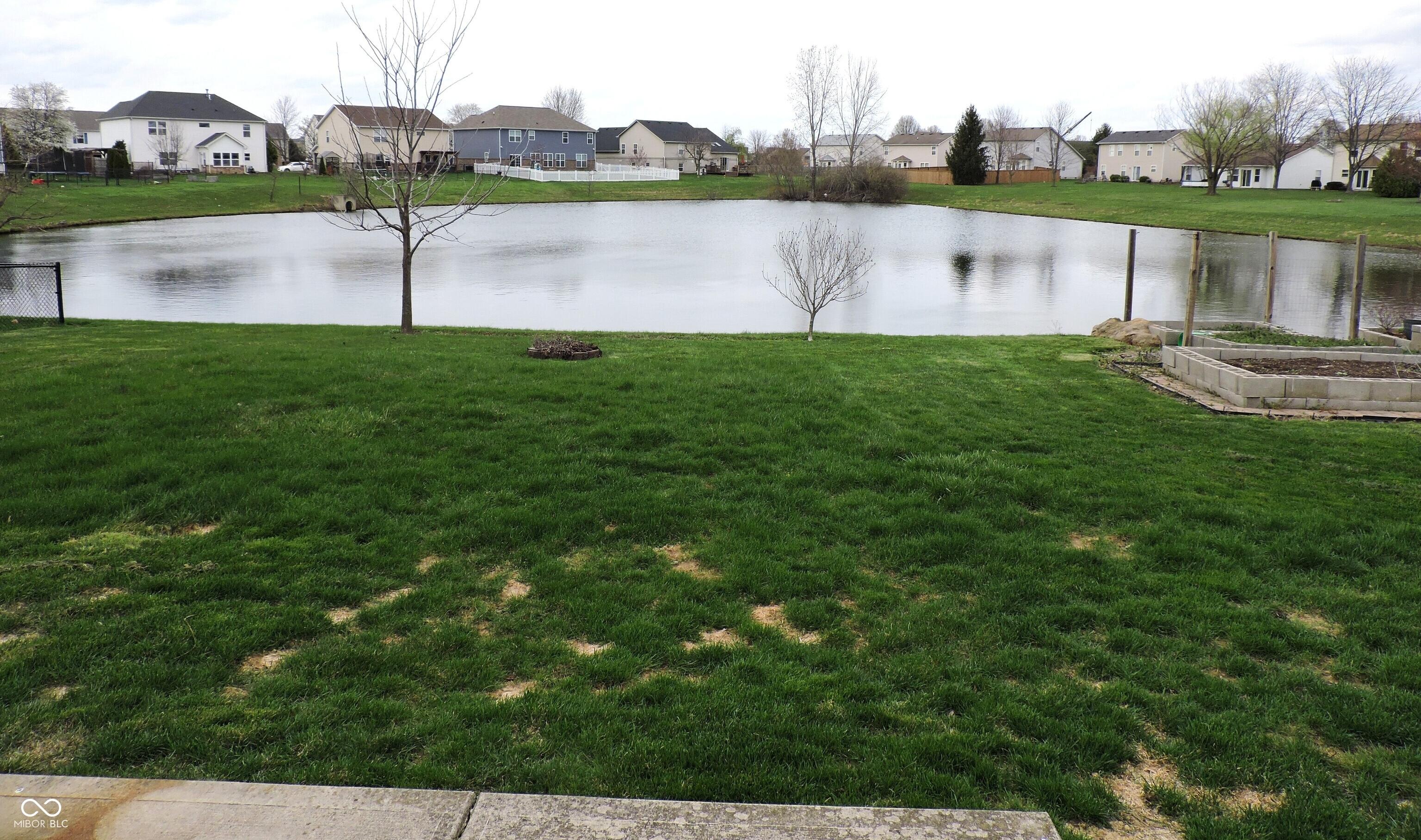 Photo #22