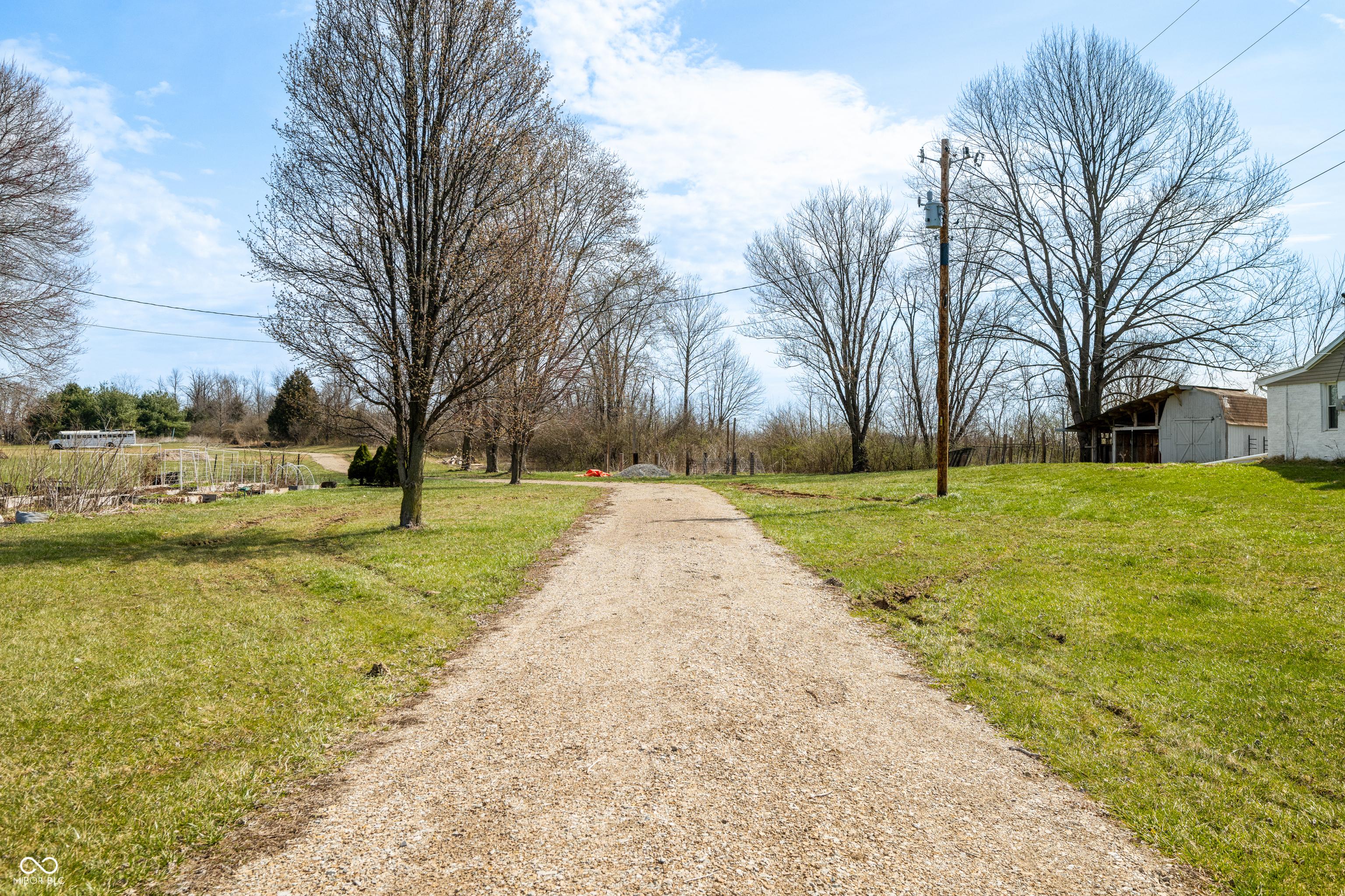 Photo #37