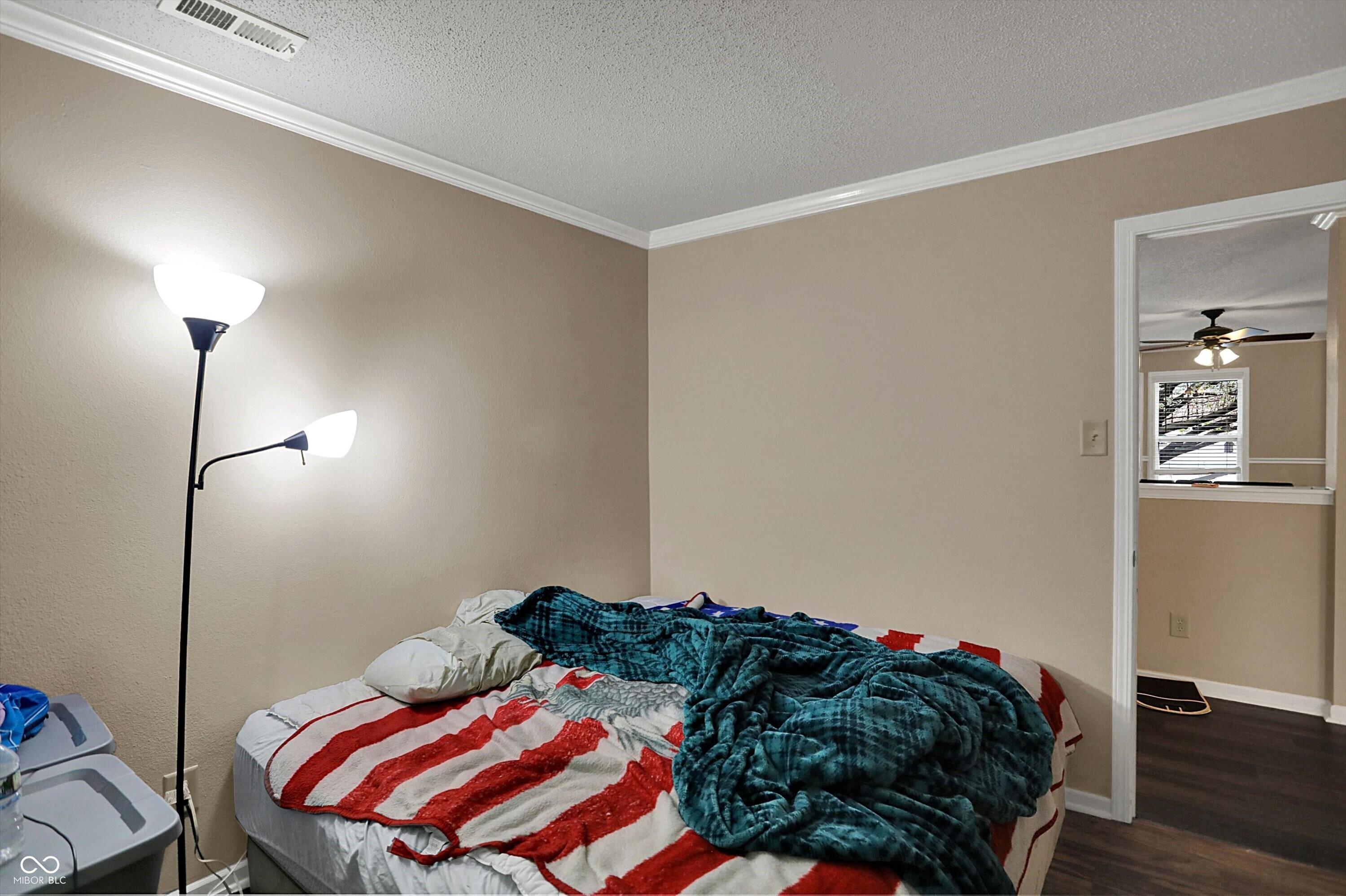Photo #15