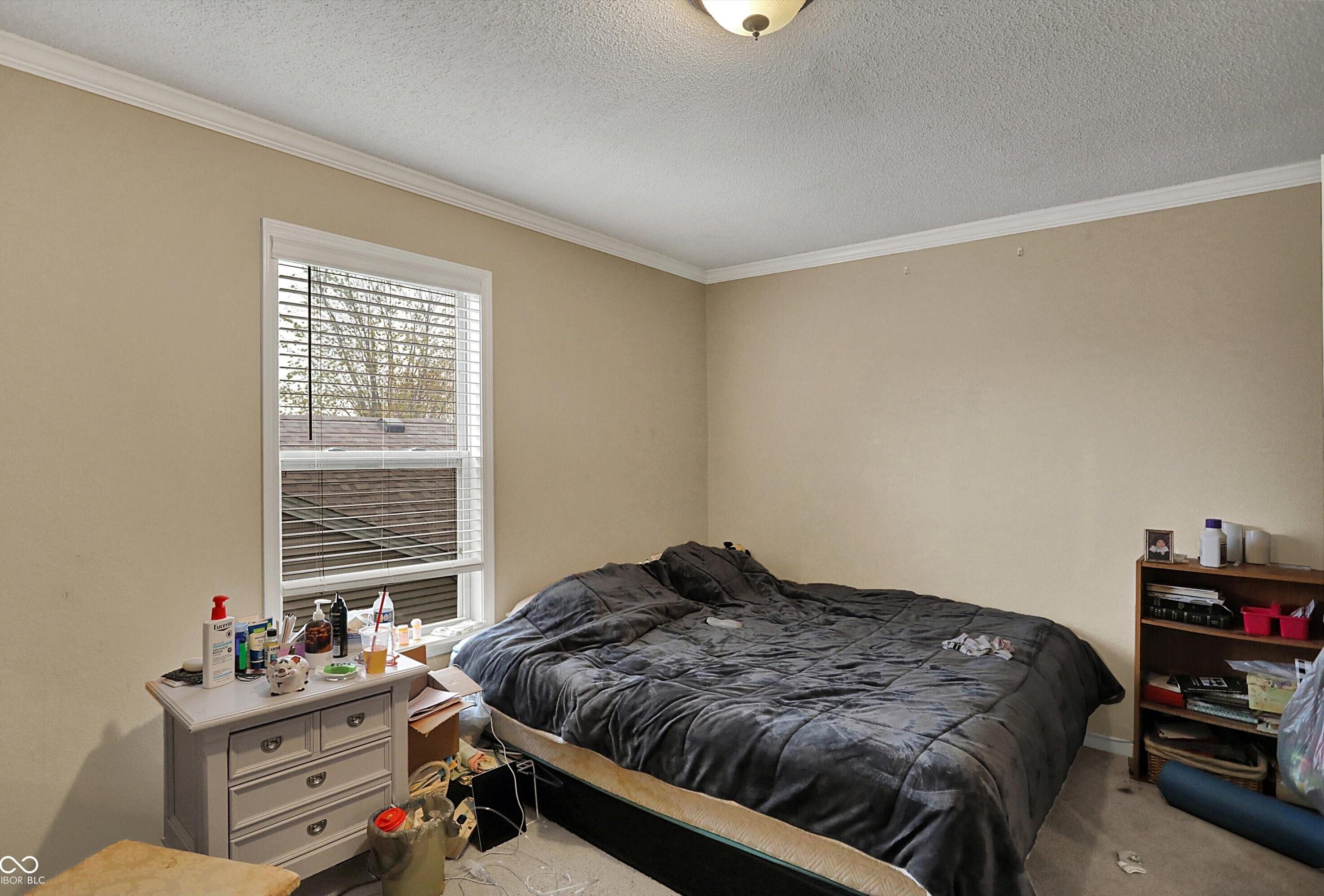 Photo #27